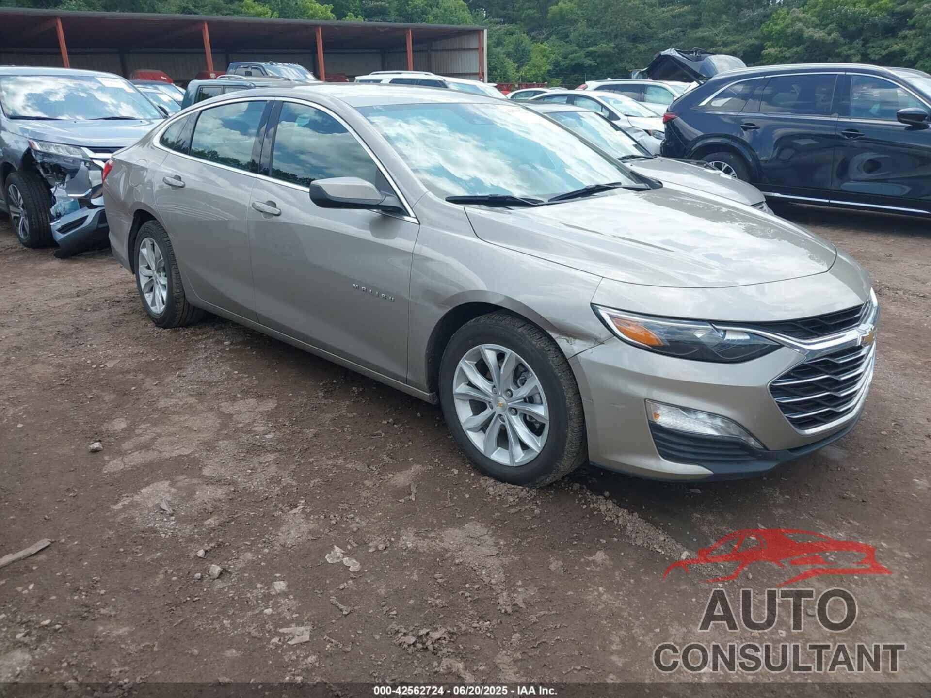 CHEVROLET MALIBU 2024 - 1G1ZD5ST7RF219010