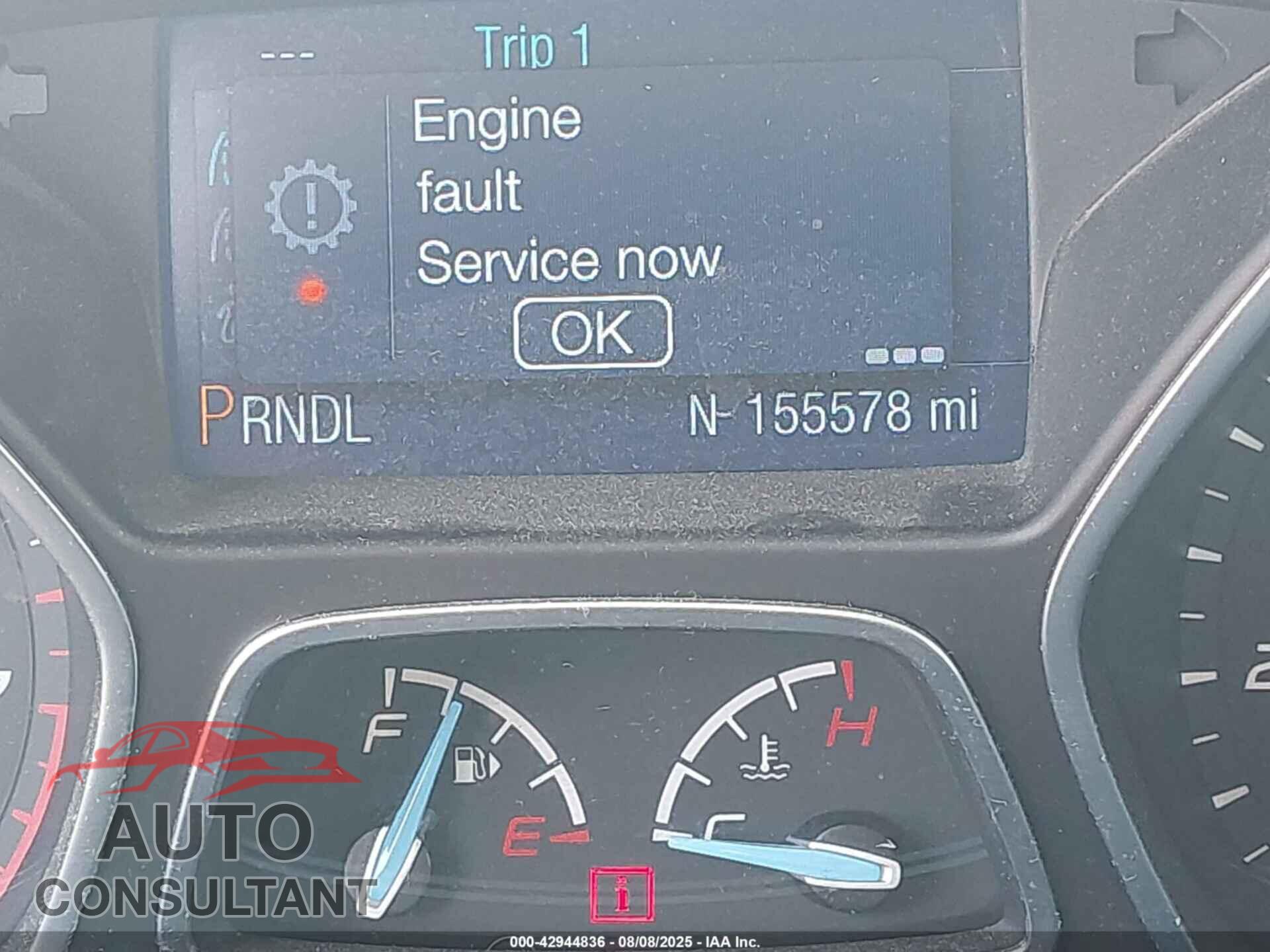 FORD FOCUS 2014 - 1FADP3F28EL460736