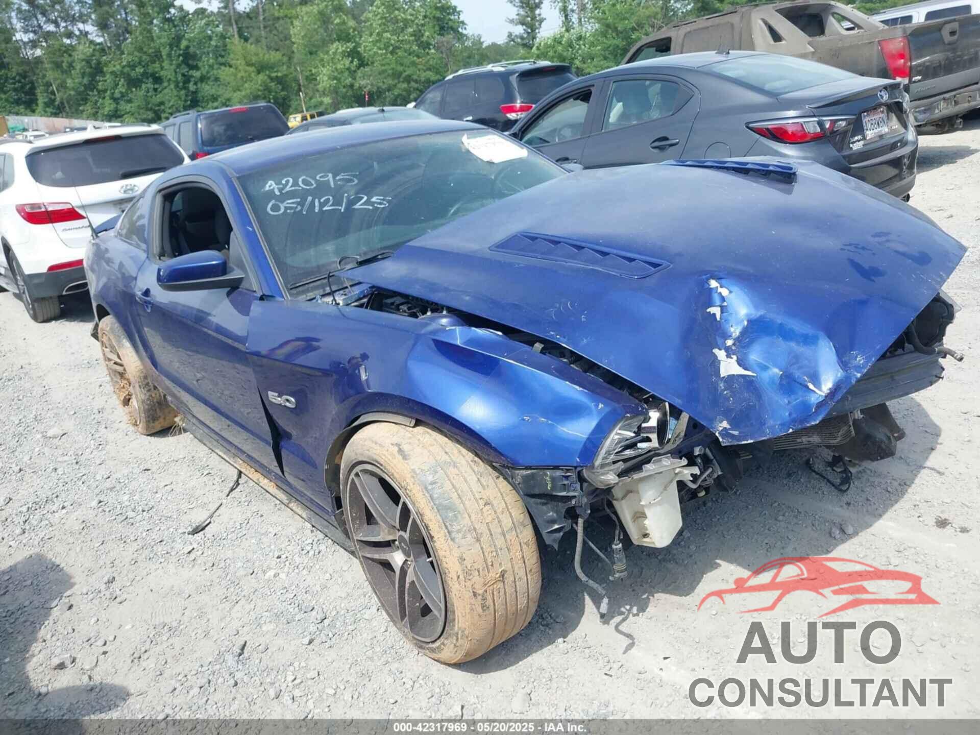 FORD MUSTANG 2013 - 1ZVBP8CF6D5255440