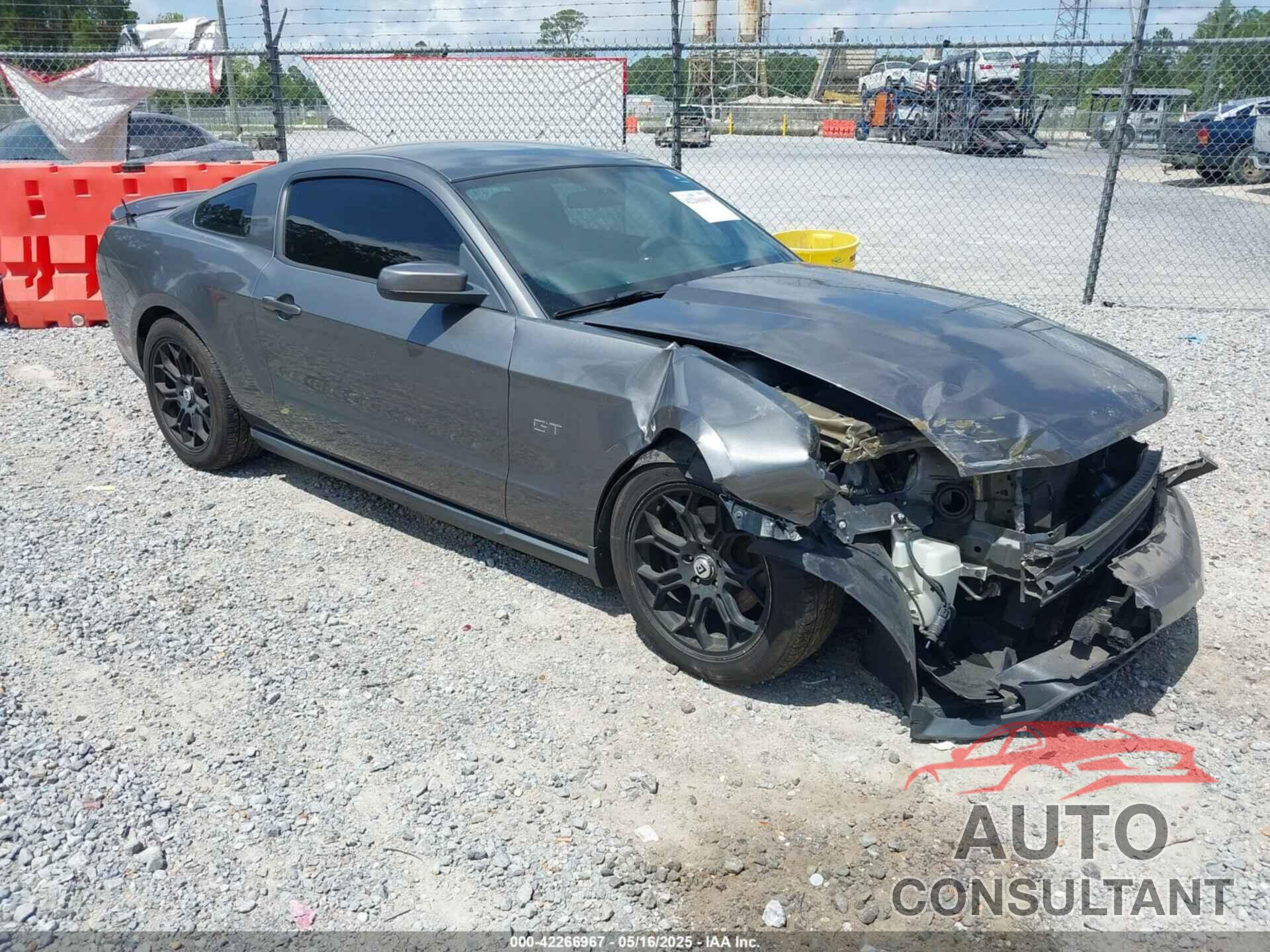 FORD MUSTANG 2010 - 1ZVBP8CH7A5162438
