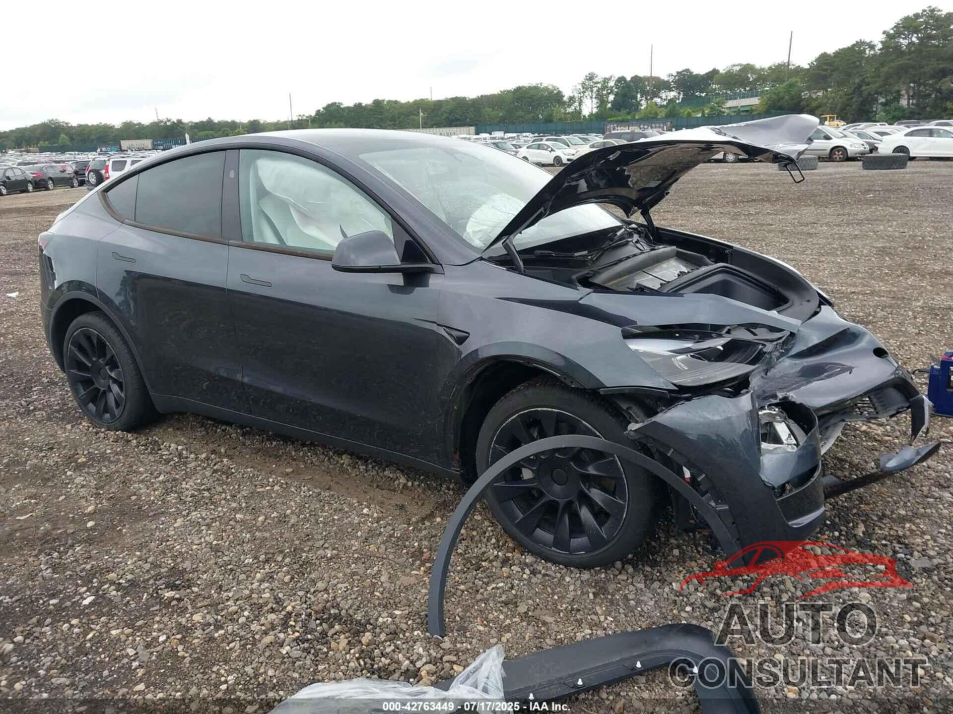 TESLA MODEL Y 2024 - 7SAYGDEE1RA225634