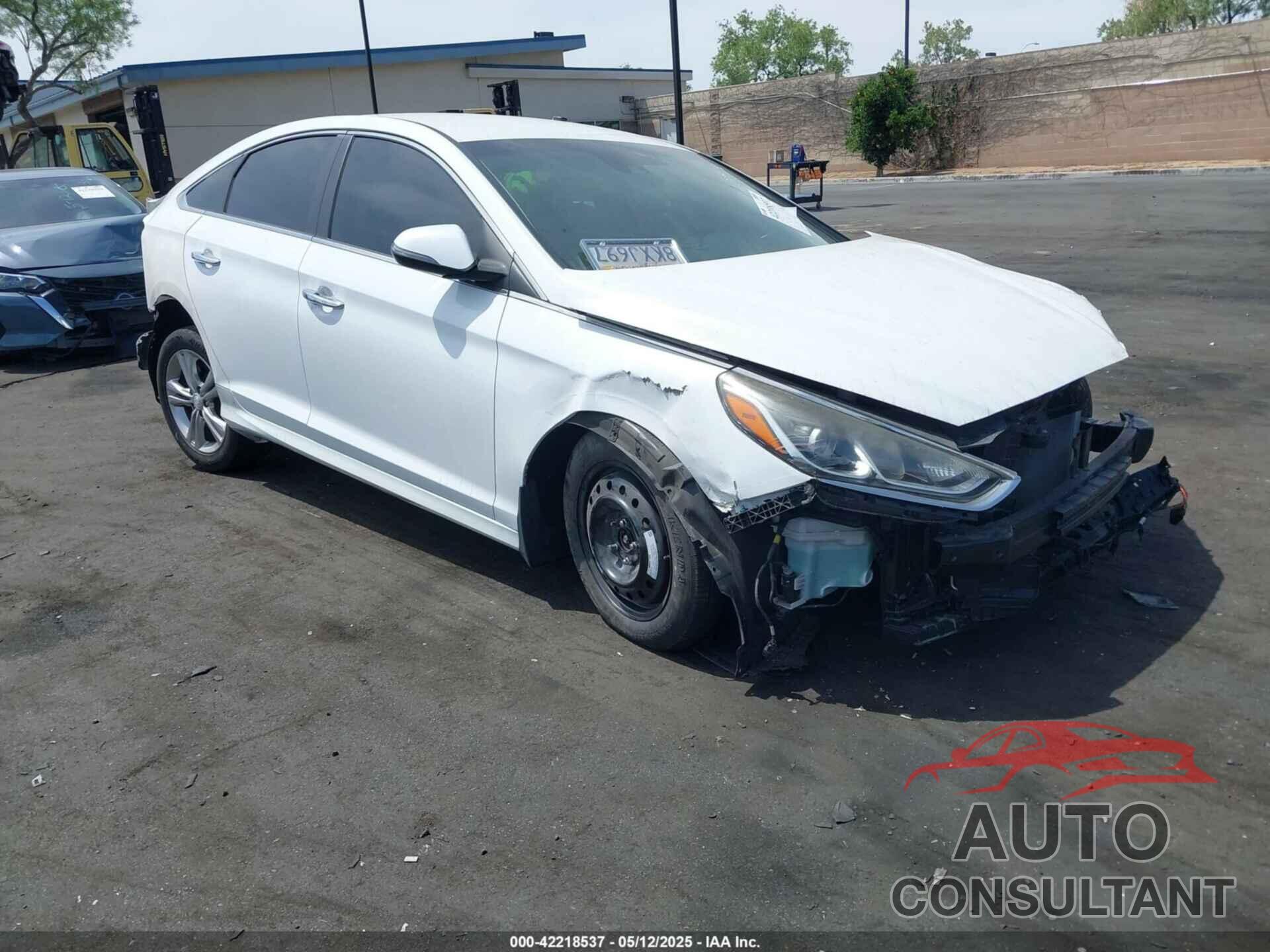 HYUNDAI SONATA 2019 - 5NPE34AFXKH804254