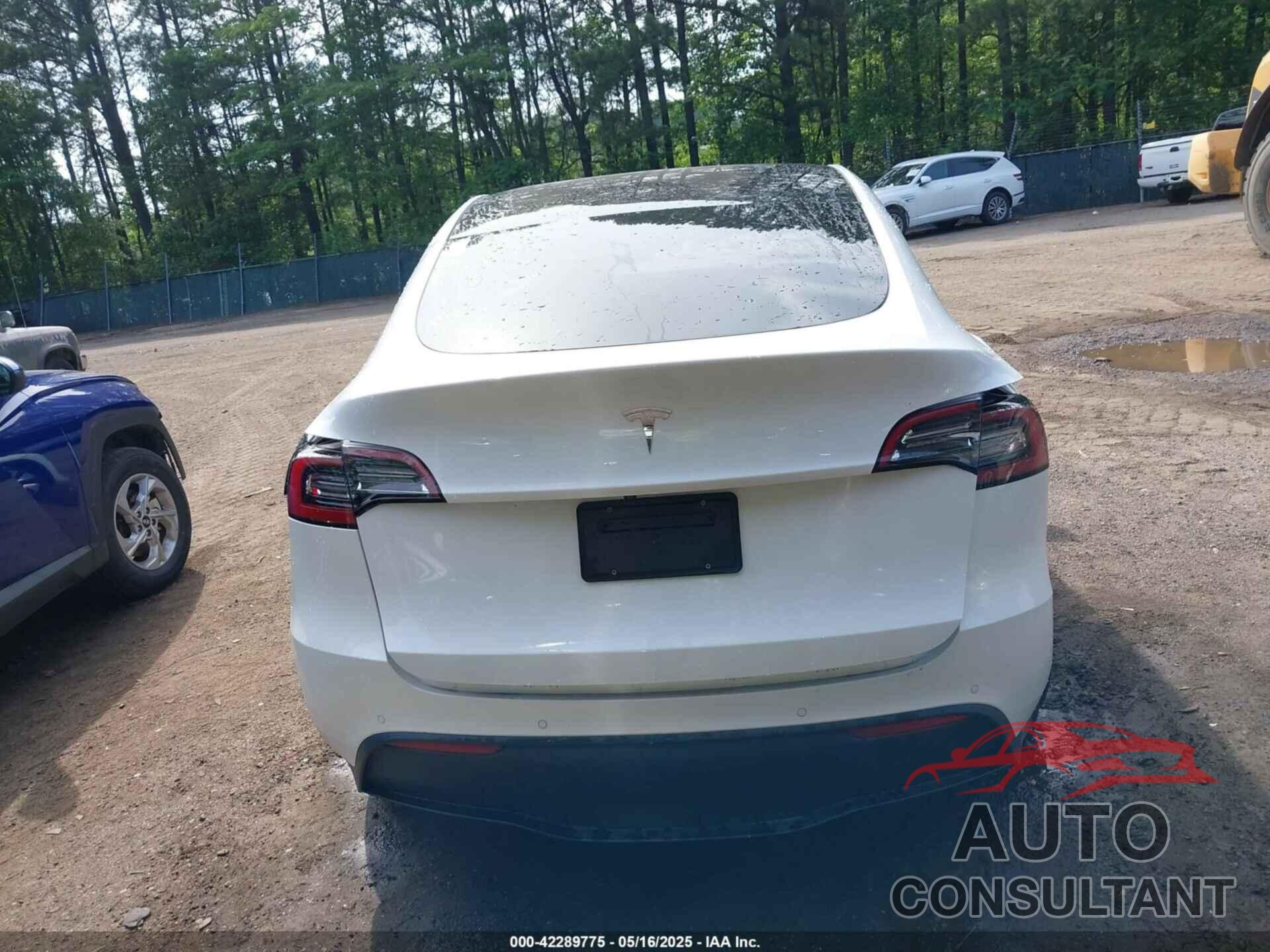 TESLA MODEL Y 2021 - 5YJYGAED8MF173496