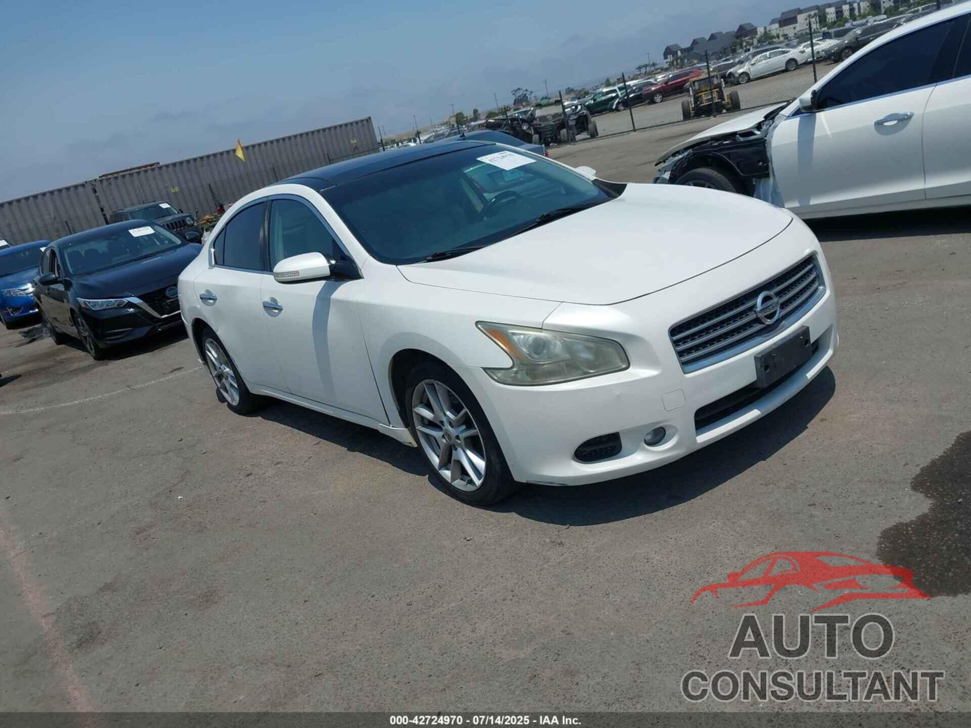 NISSAN MAXIMA 2009 - 1N4AA51E49C859487
