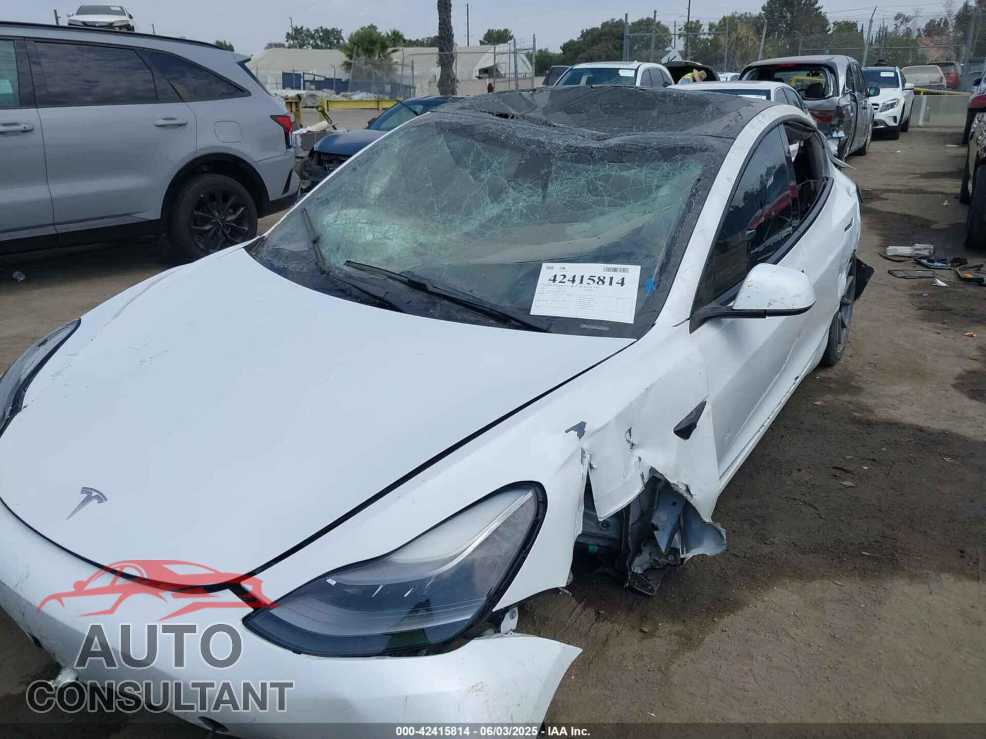 TESLA MODEL 3 2021 - 5YJ3E1EA3MF921206