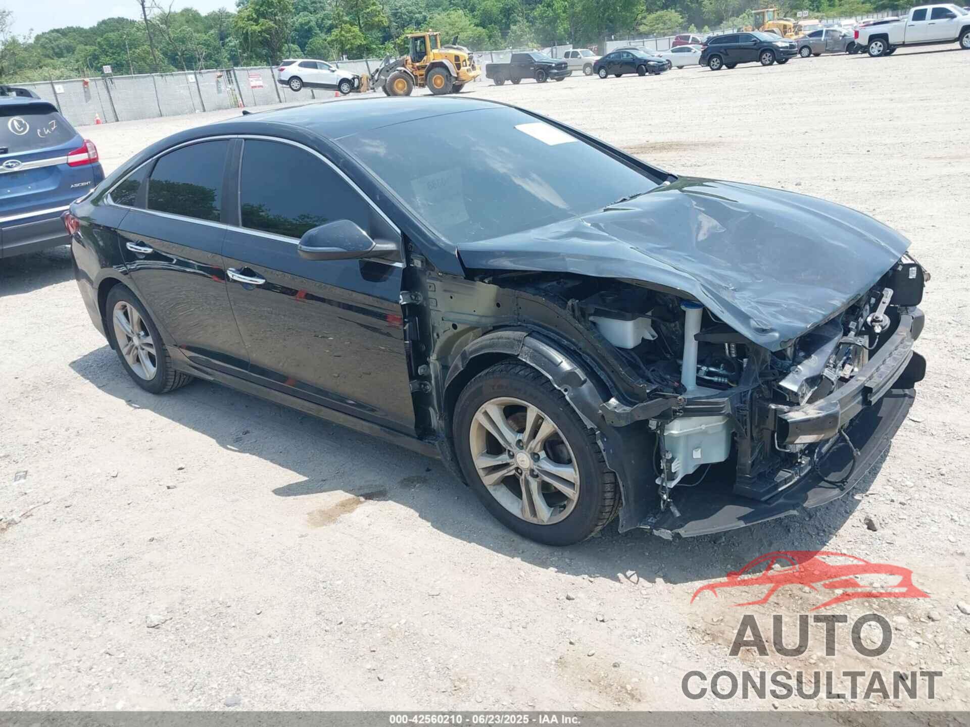 HYUNDAI SONATA 2019 - 5NPE34AF3KH745225