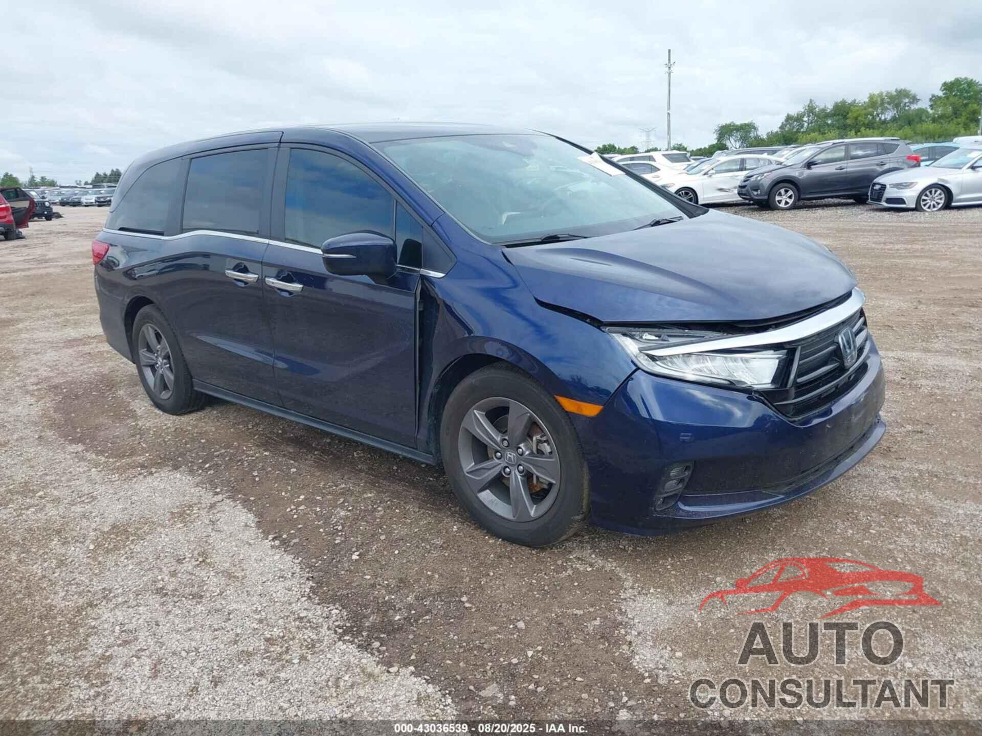 HONDA ODYSSEY 2022 - 5FNRL6H59NB005109