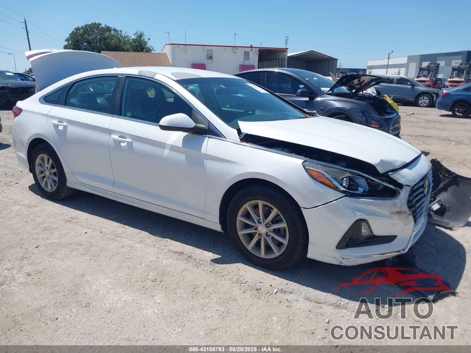 HYUNDAI SONATA 2019 - 5NPE24AF0KH777889