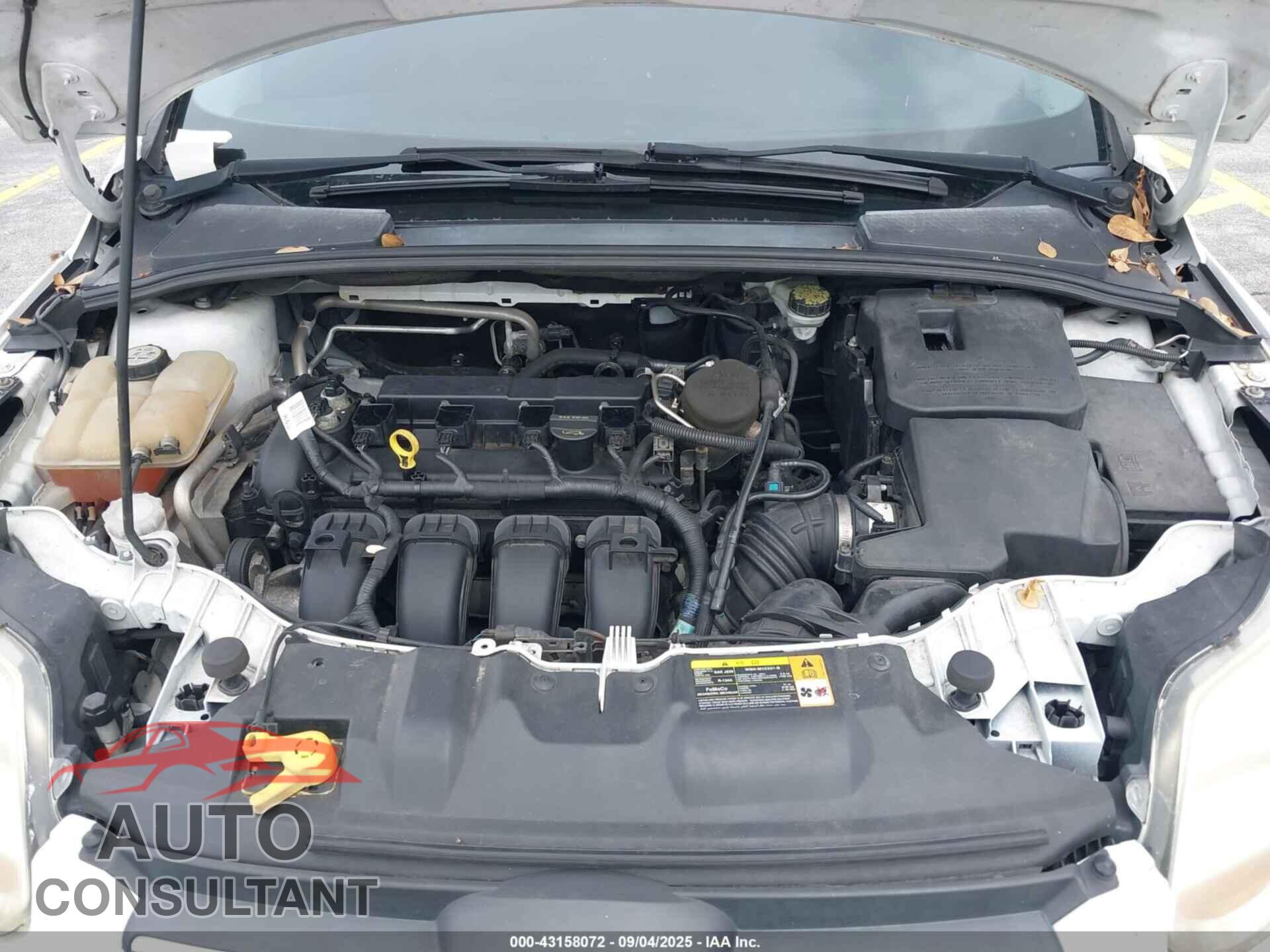 FORD FOCUS 2012 - 1FAHP3M2XCL295676