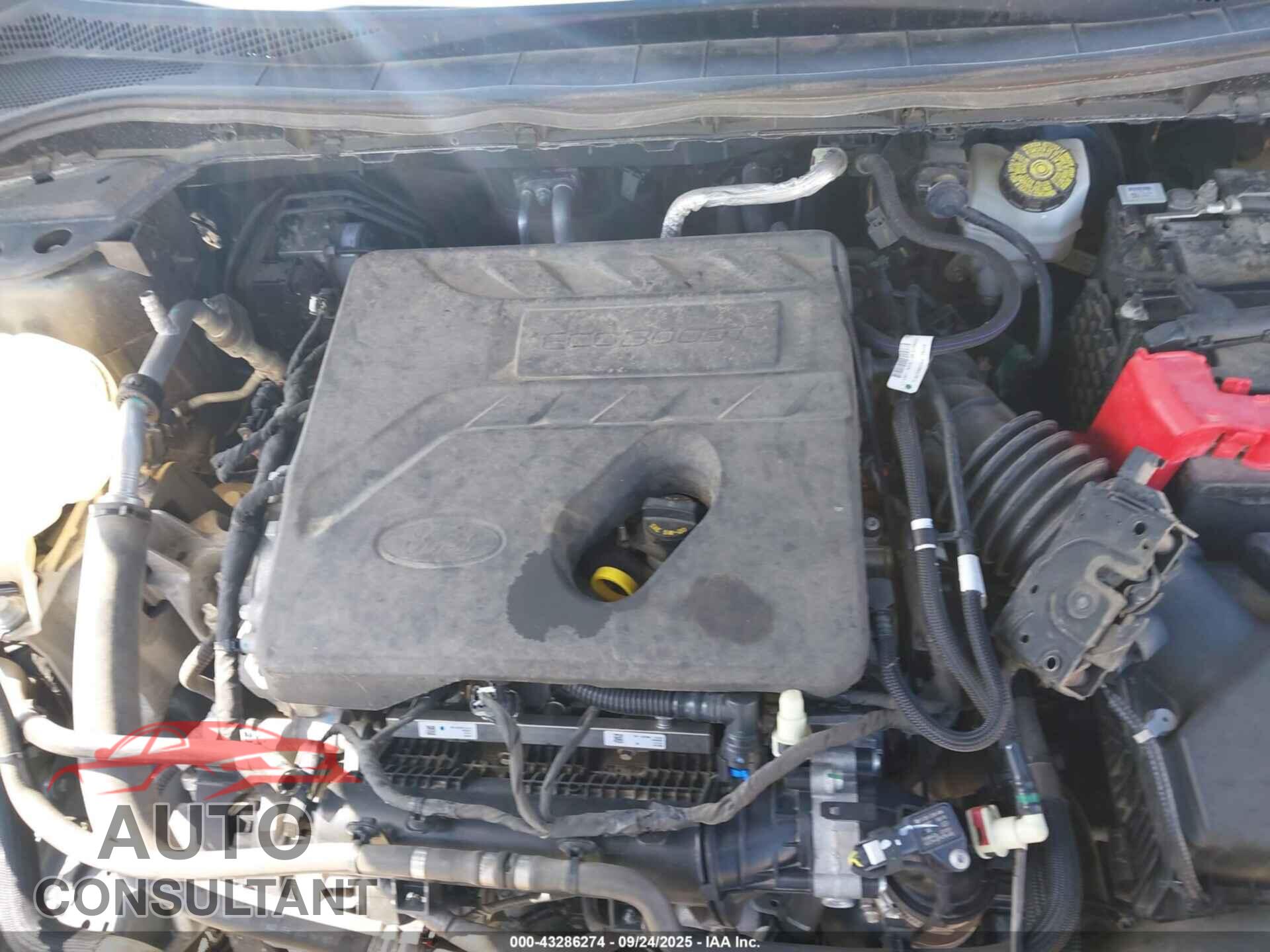 FORD ESCAPE 2020 - 1FMCU9F63LUA11097