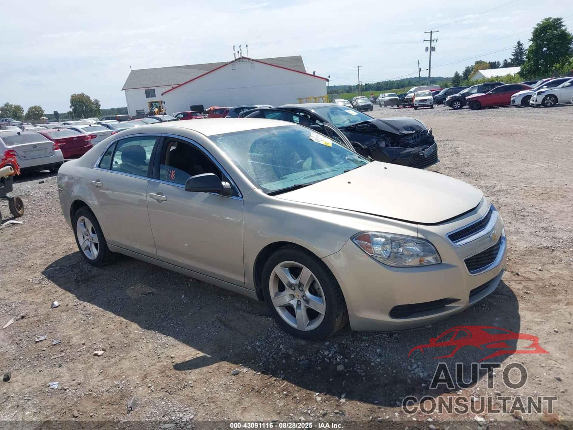 CHEVROLET MALIBU 2011 - 1G1ZB5E13BF221309