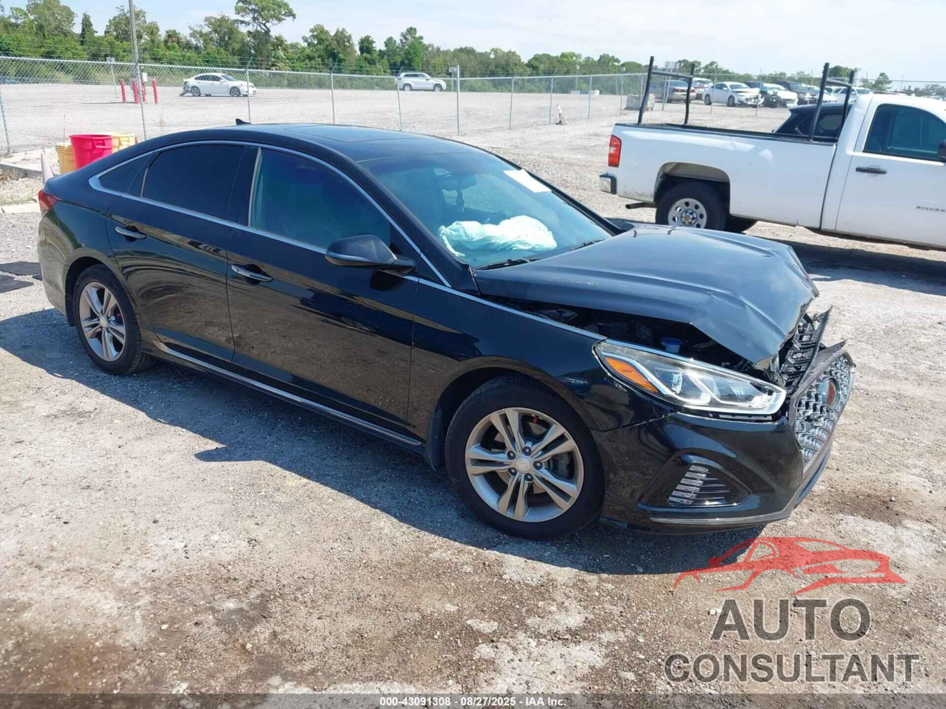 HYUNDAI SONATA 2019 - 5NPE34AF7KH771343