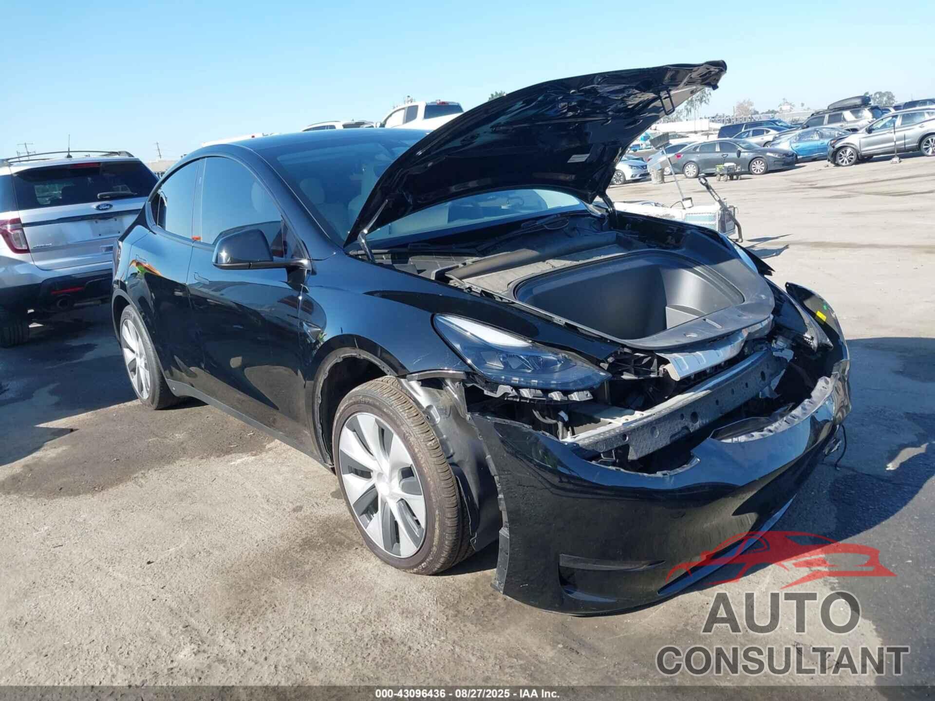 TESLA MODEL Y 2024 - 7SAYGDED0RF014743