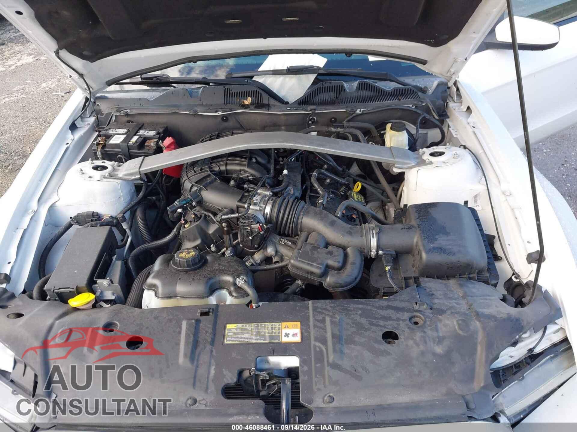 FORD MUSTANG 2014 - 1ZVBP8EM7E5263415