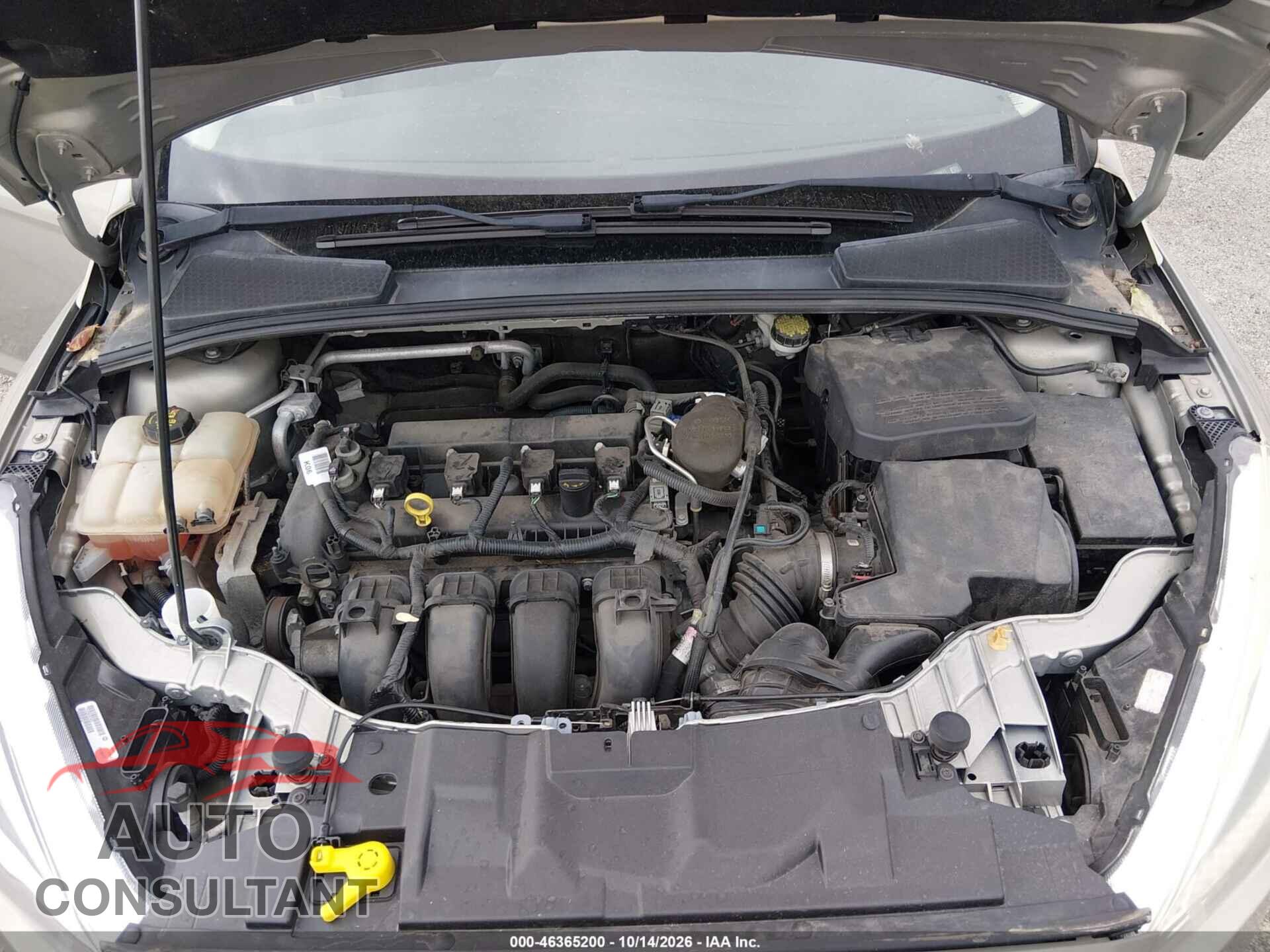 FORD FOCUS 2015 - 1FADP3F24FL228877