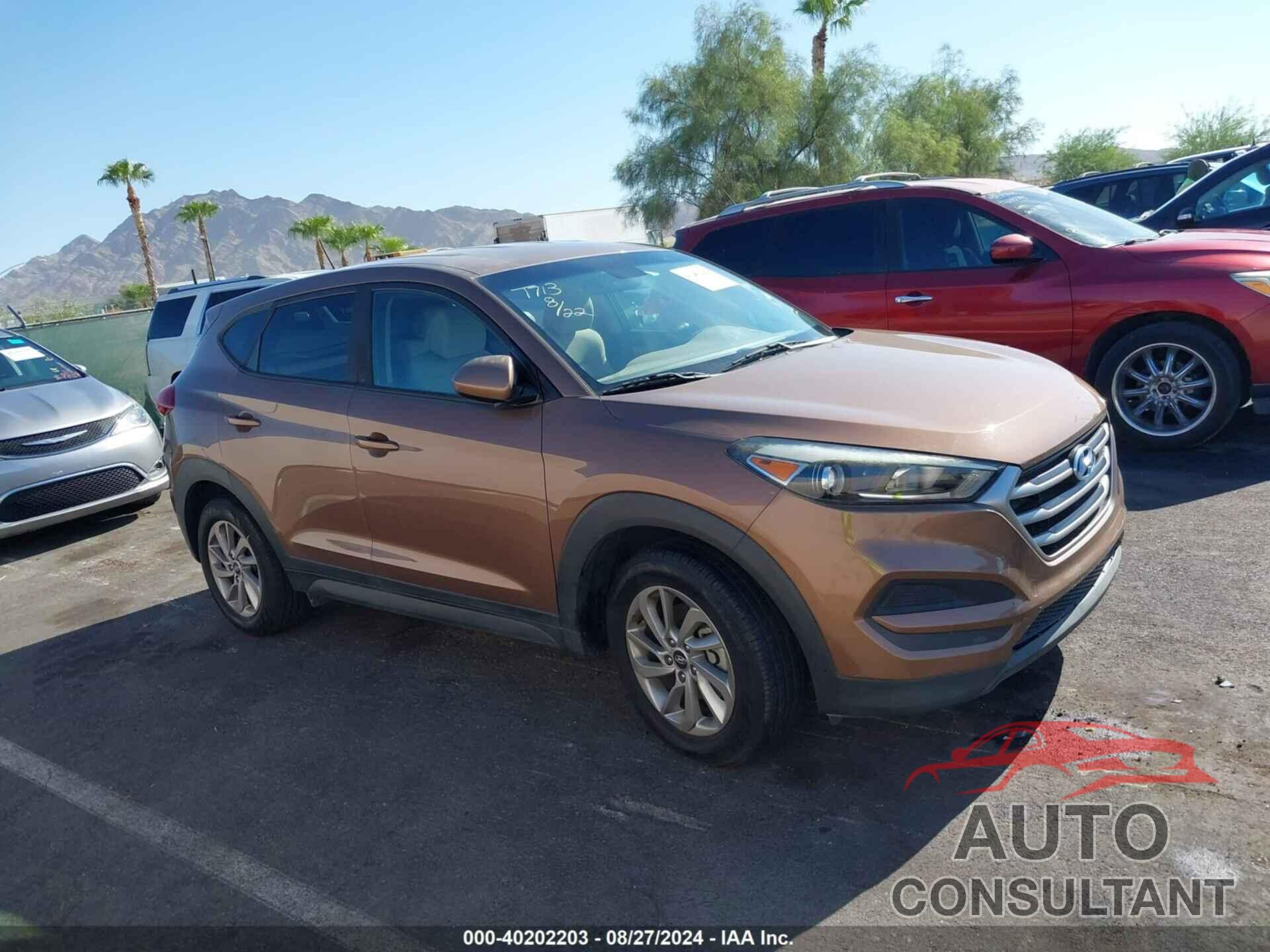 HYUNDAI TUCSON 2017 - KM8J23A41HU465355