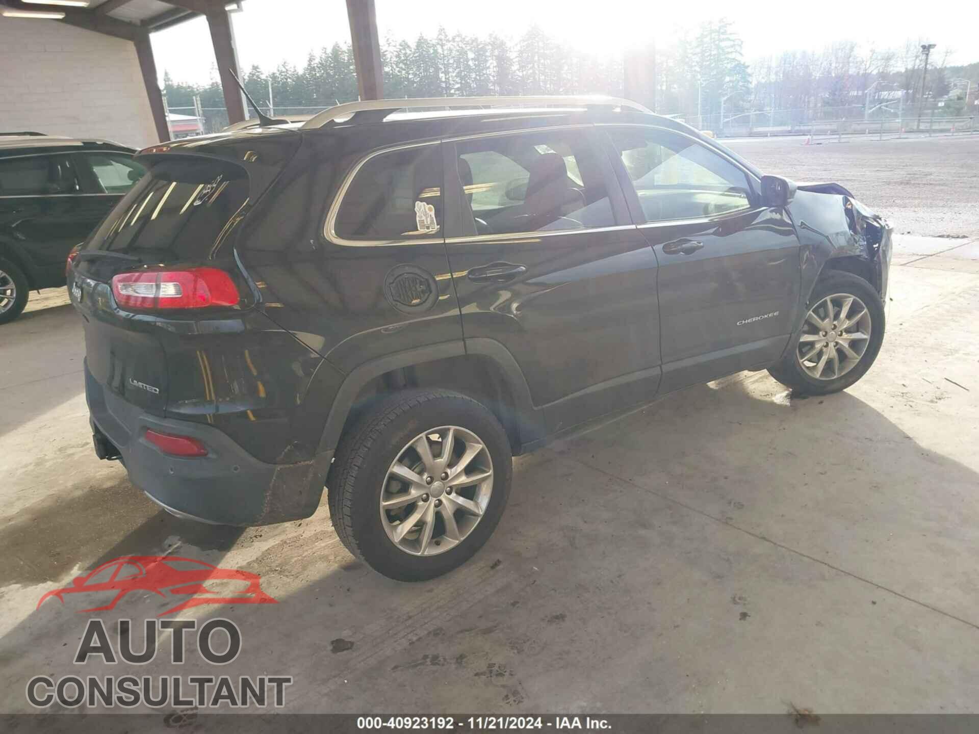 JEEP CHEROKEE 2014 - 1C4PJMDS3EW133872