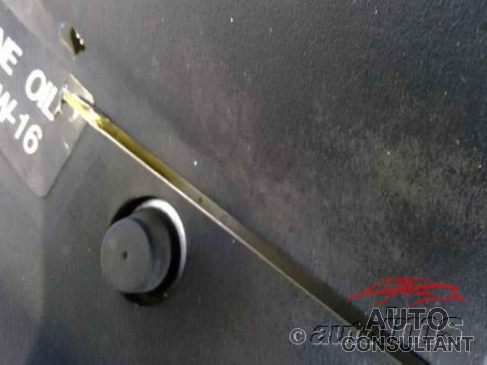 TOYOTA CAMRY 2020 - 4T1L31AK2LU536869