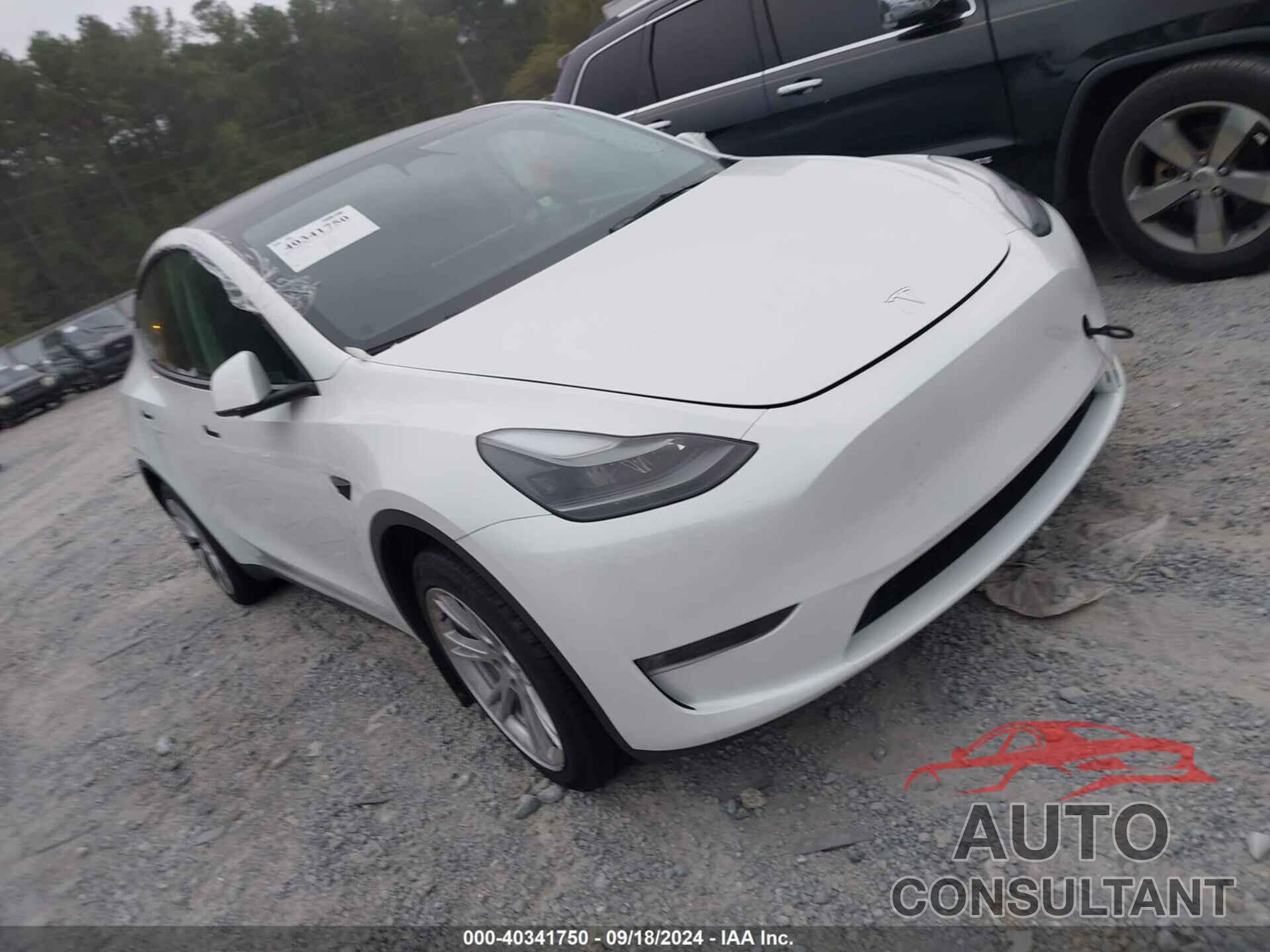 TESLA MODEL Y 2023 - 7SAYGDEE3PF768094