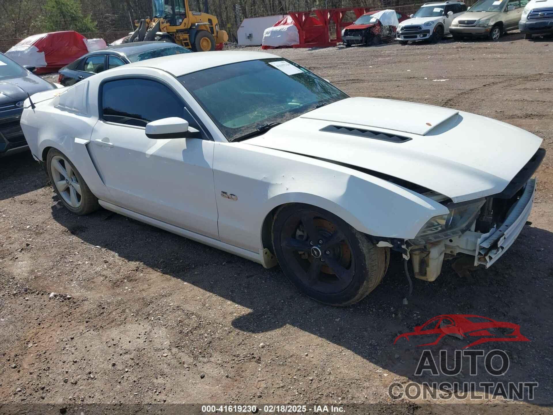 FORD MUSTANG 2013 - 1ZVBP8CF3D5205434