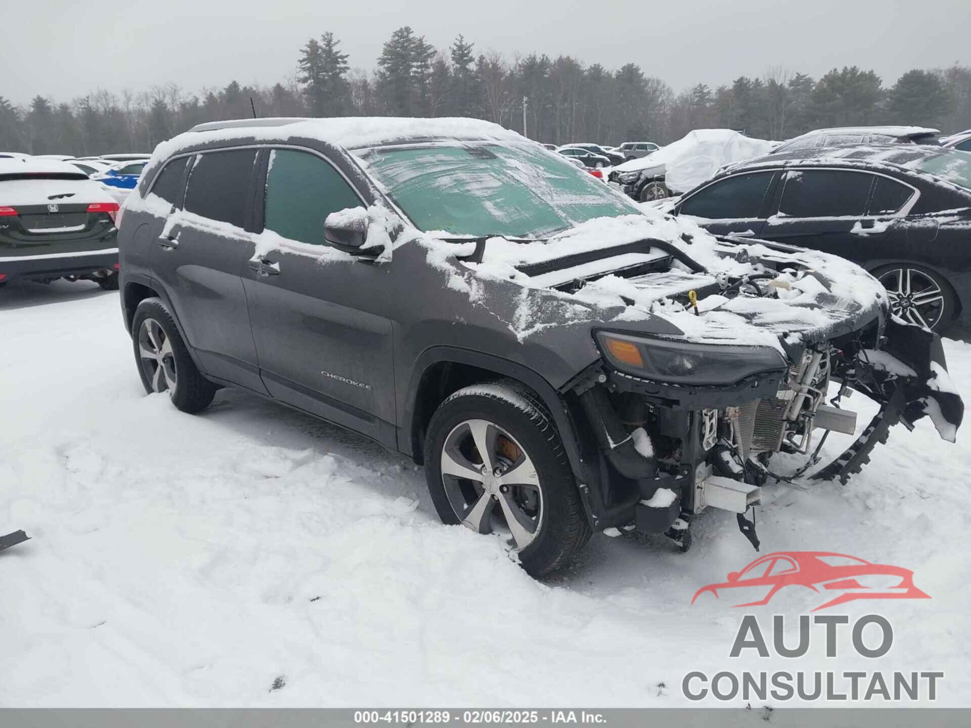 JEEP CHEROKEE 2019 - 1C4PJMDN8KD399423