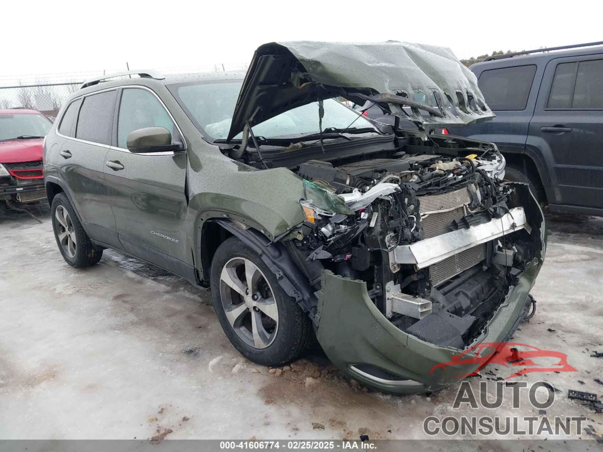 JEEP CHEROKEE 2019 - 1C4PJMDN3KD251678