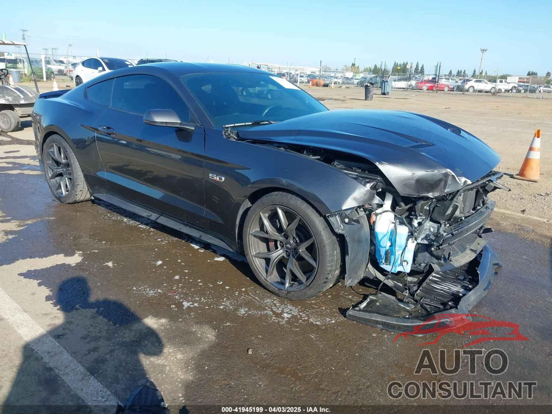 FORD MUSTANG 2019 - 1FA6P8CF2K5135528