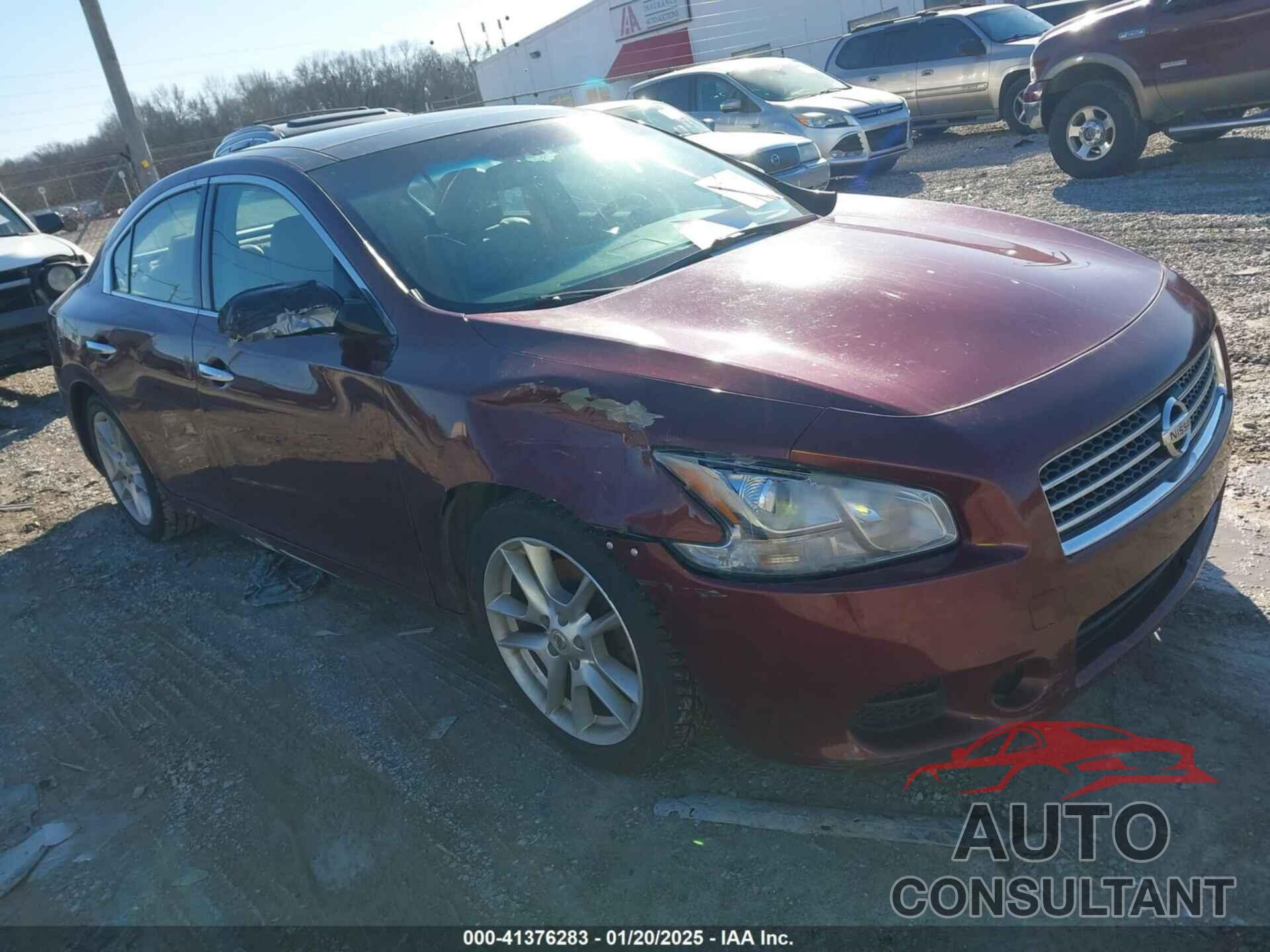 NISSAN MAXIMA 2010 - 1N4AA5AP6AC808501