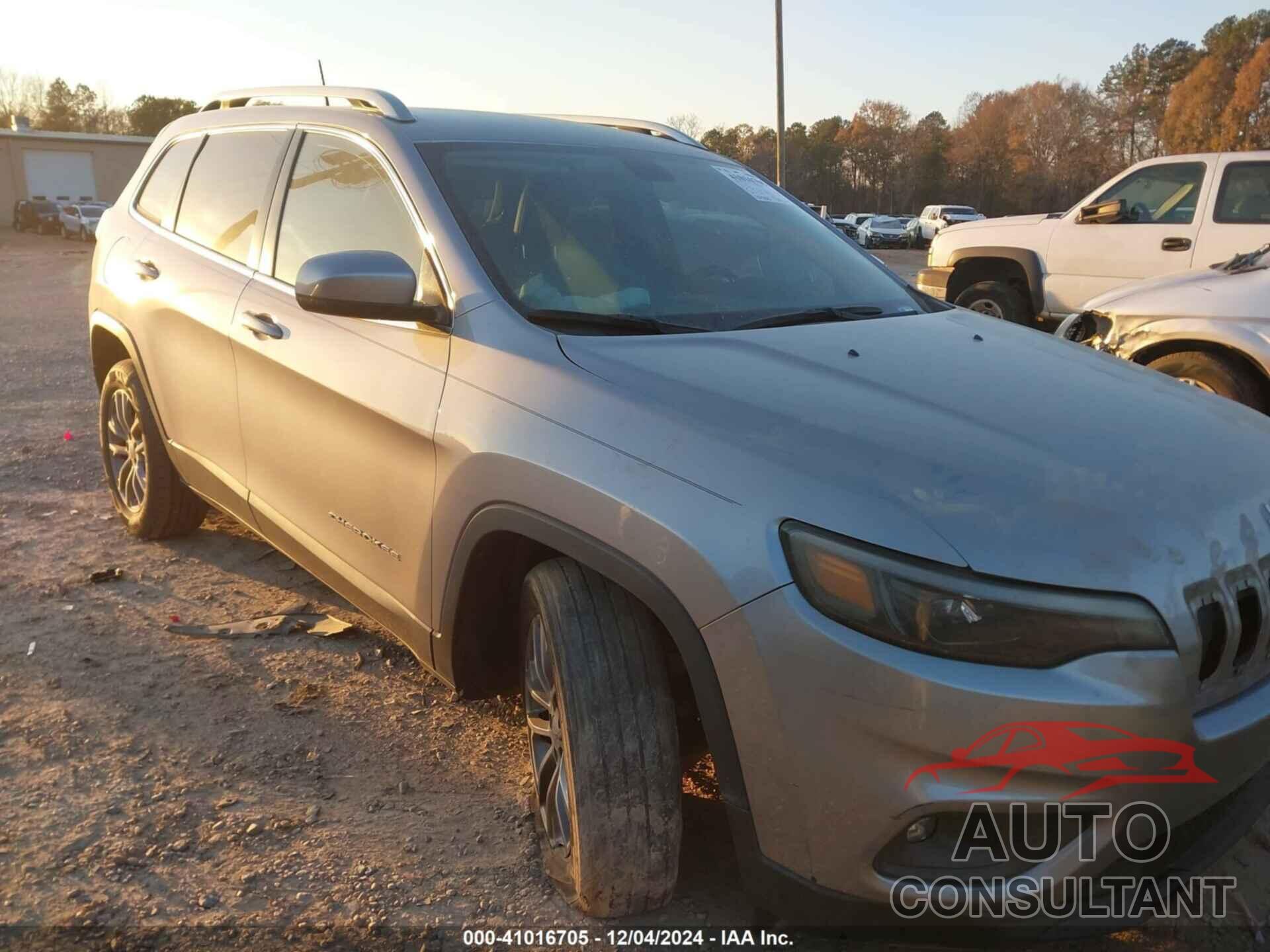 JEEP CHEROKEE 2019 - 1C4PJLLB1KD332650