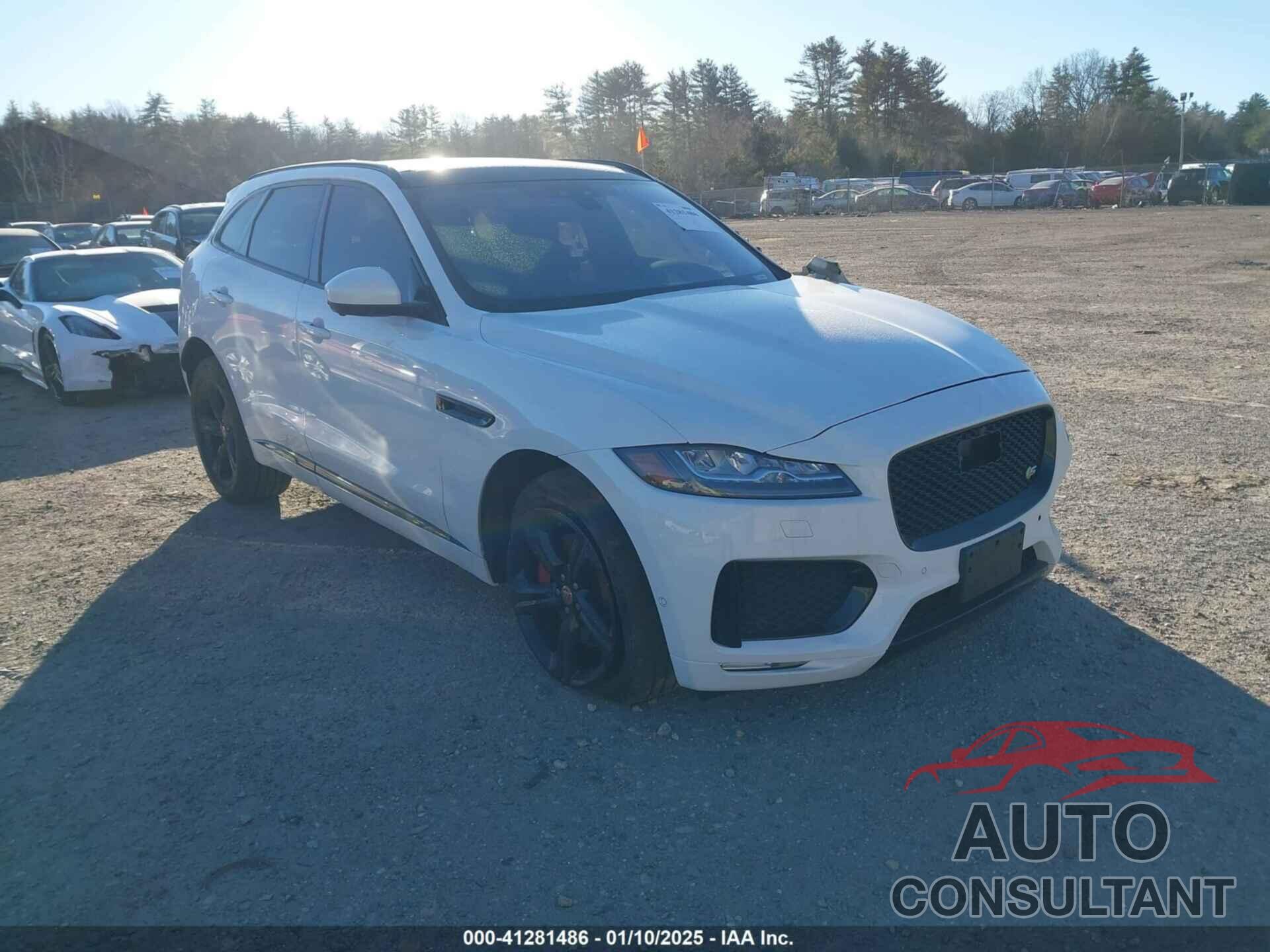 JAGUAR F-PACE 2019 - SADCM2FV9KA602624