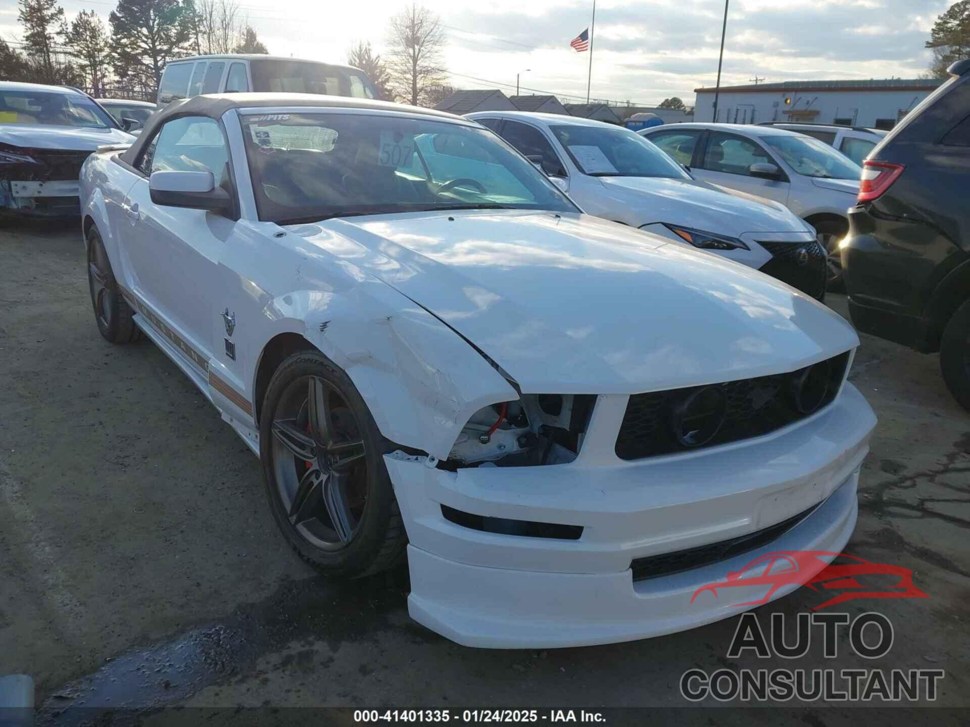 FORD MUSTANG 2009 - 1ZVHT84N695111809