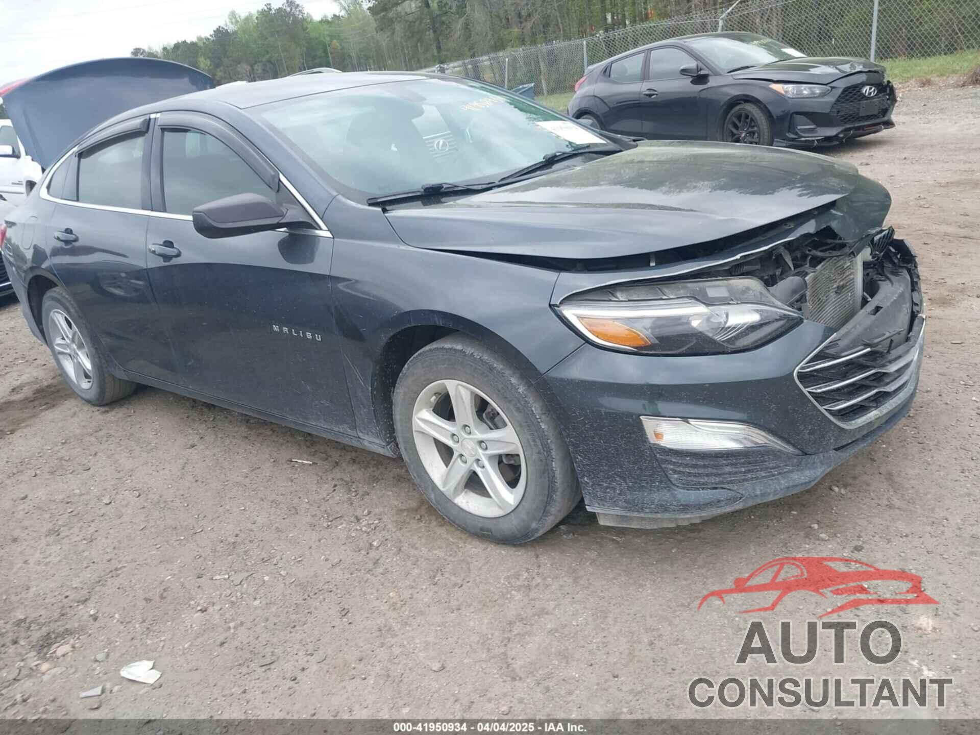 CHEVROLET MALIBU 2019 - 1G1ZB5ST3KF187099