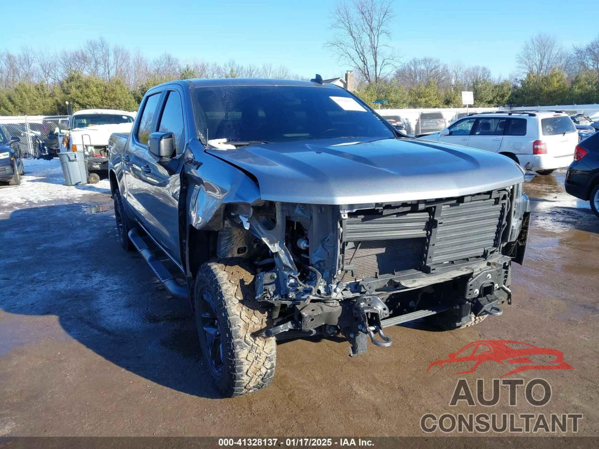 CHEVROLET SILVERADO 1500 2020 - 1GCPYFED8LZ376175