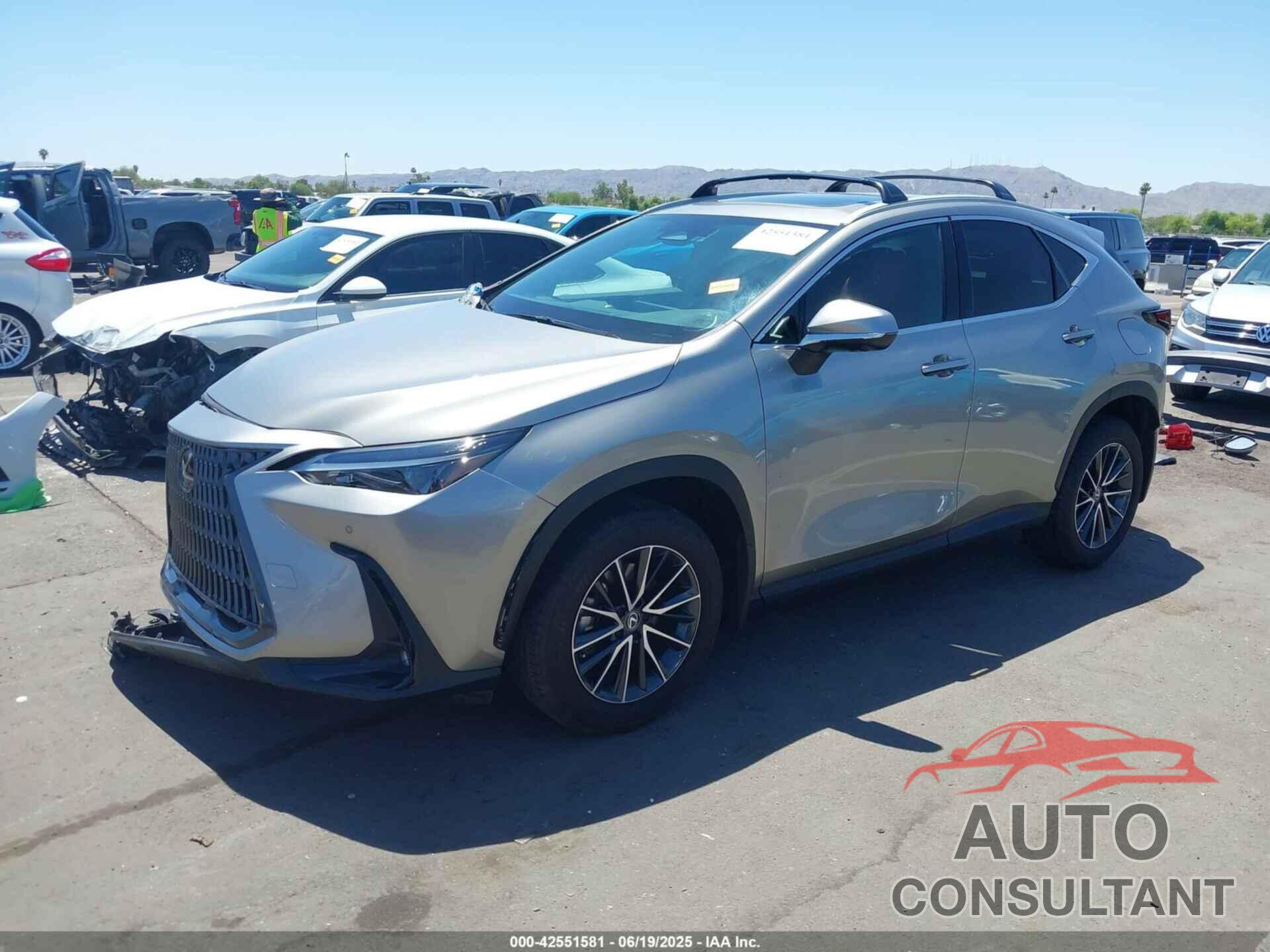 LEXUS NX 350 2024 - 2T2GGCEZ3RC049310