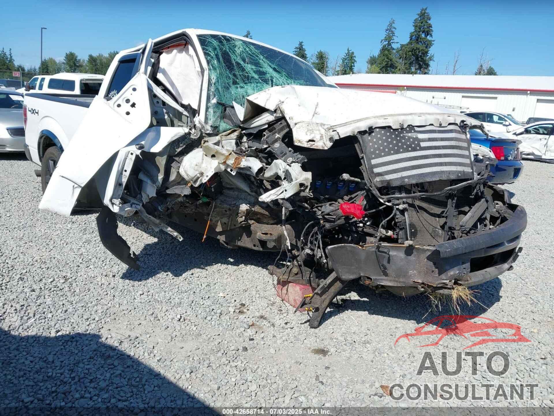 FORD F-150 2013 - 1FTFX1EF1DFA75415