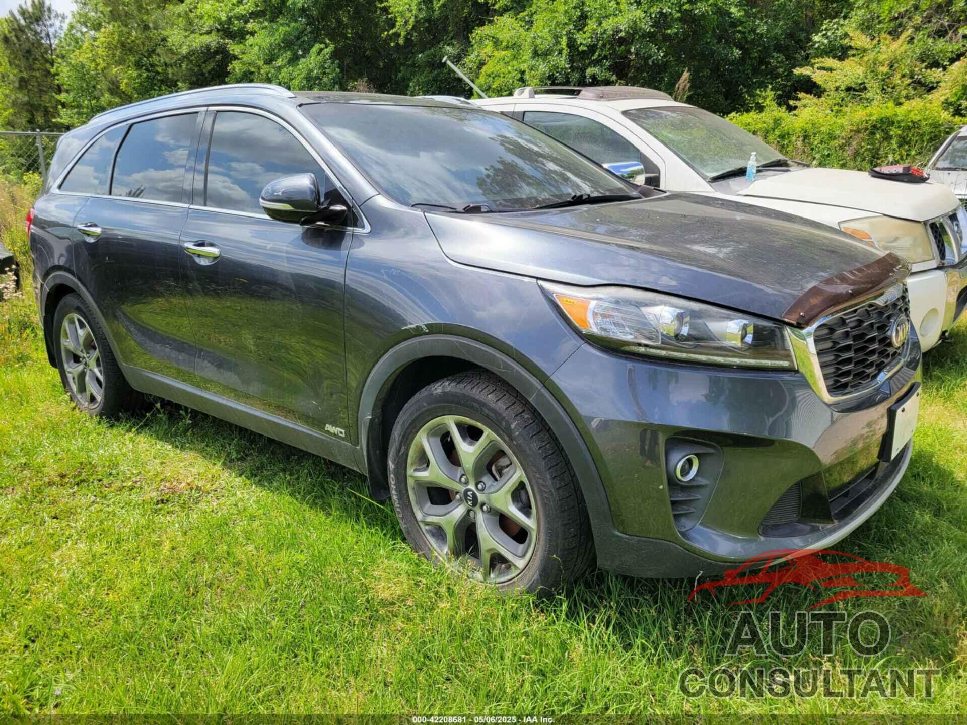 KIA SORENTO 2019 - 5XYPHDA53KG604681