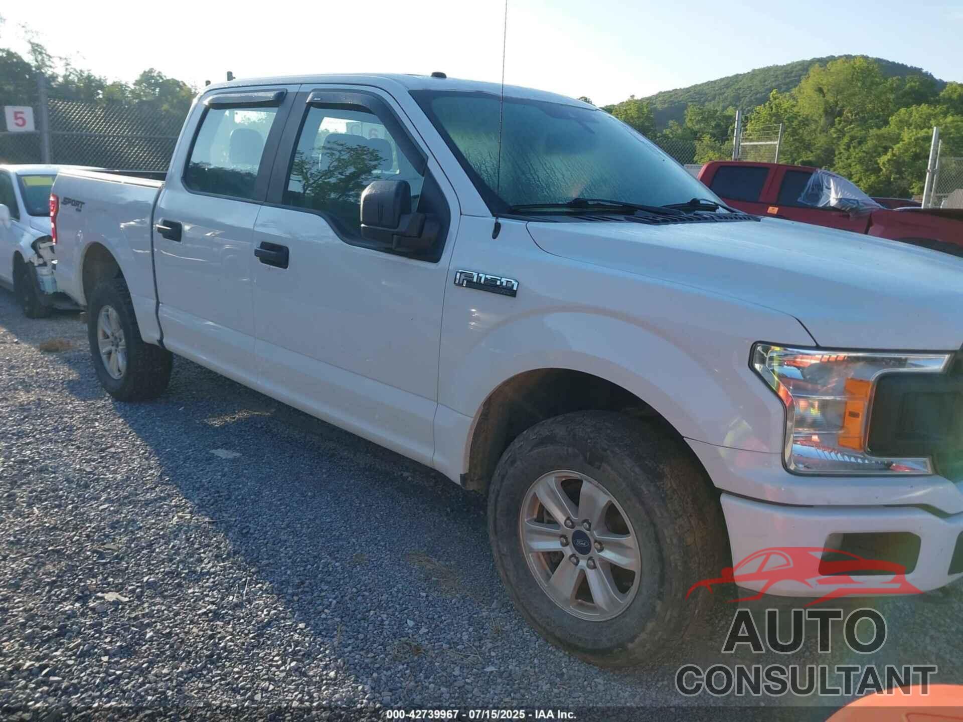 FORD F150 2019 - 1FTEW1EP7KFA11822