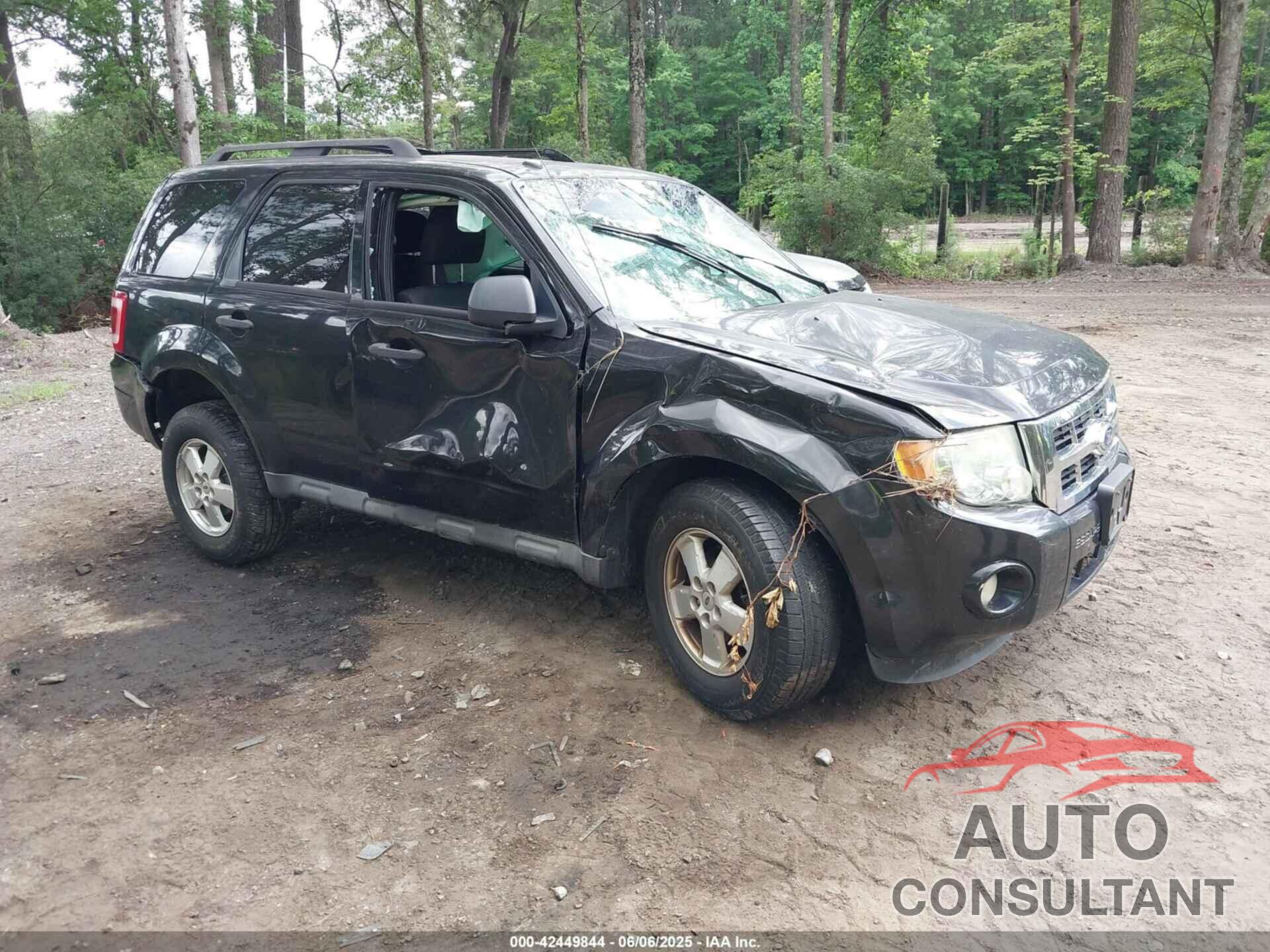 FORD ESCAPE 2011 - 1FMCU0D71BKA19880