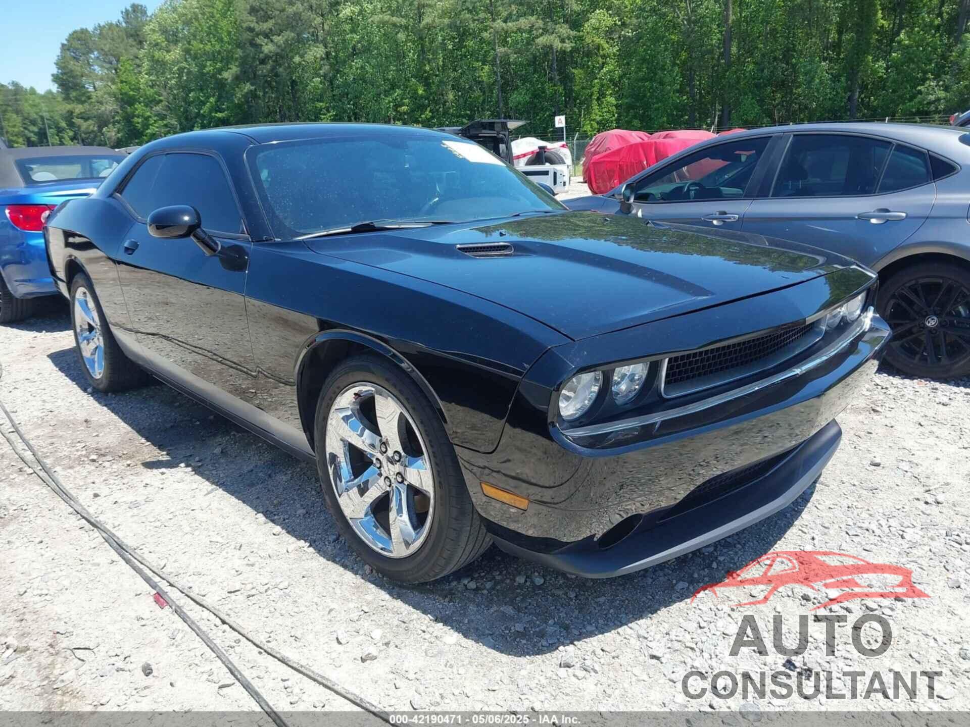DODGE CHALLENGER 2013 - 2C3CDYAG2DH674815