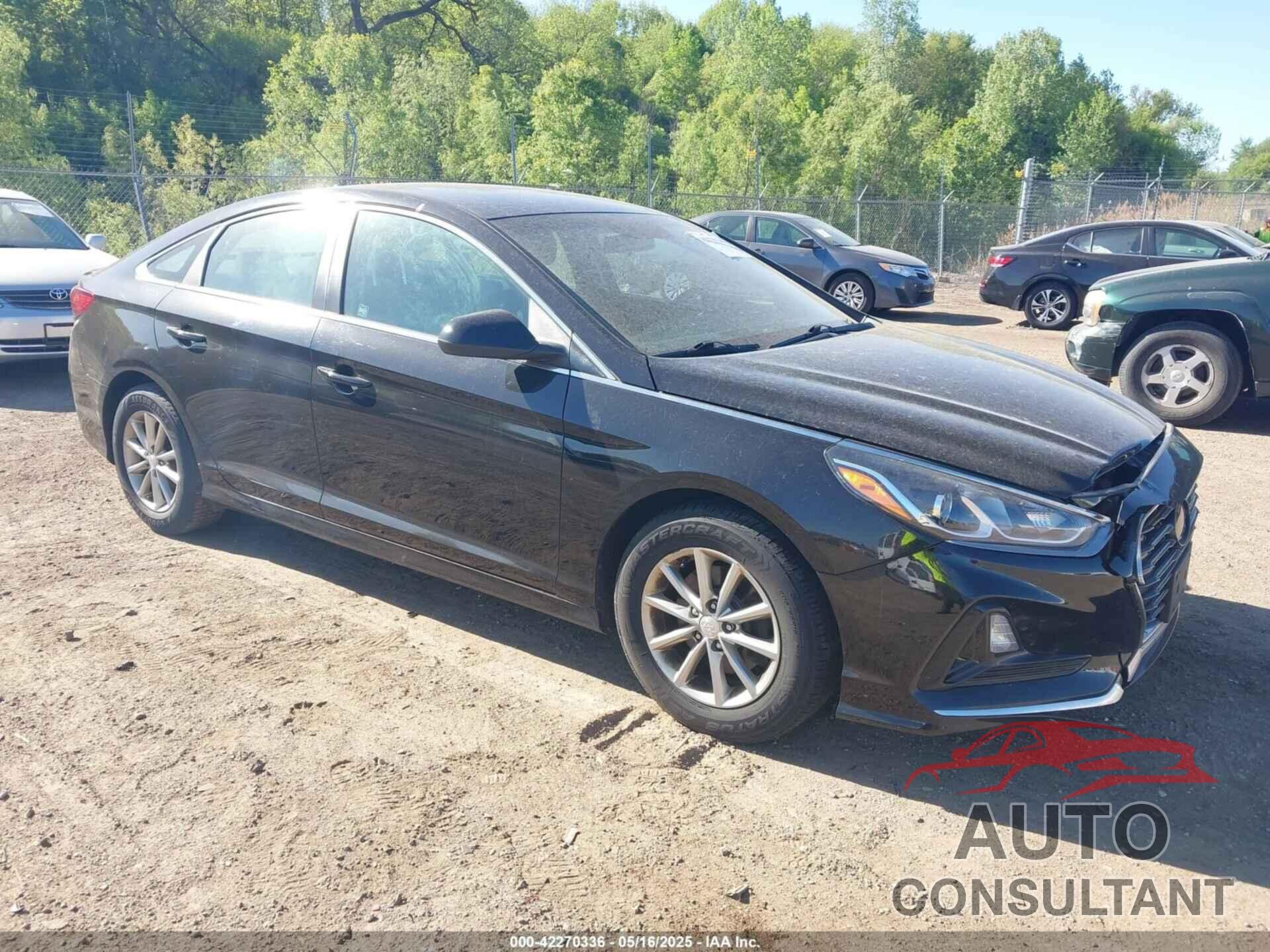 HYUNDAI SONATA 2019 - 5NPE24AF0KH746755