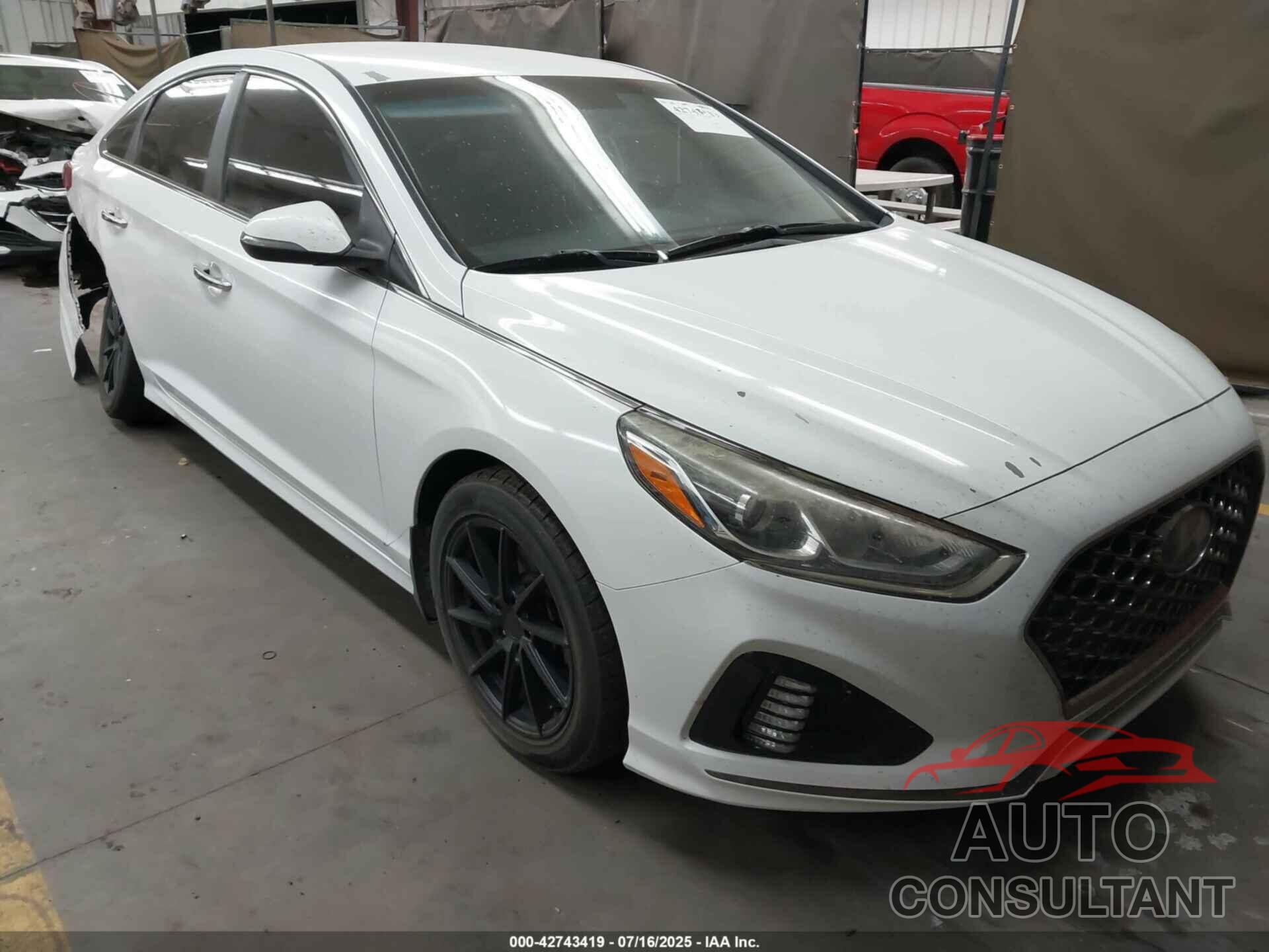 HYUNDAI SONATA 2019 - 5NPE34AF0KH806109