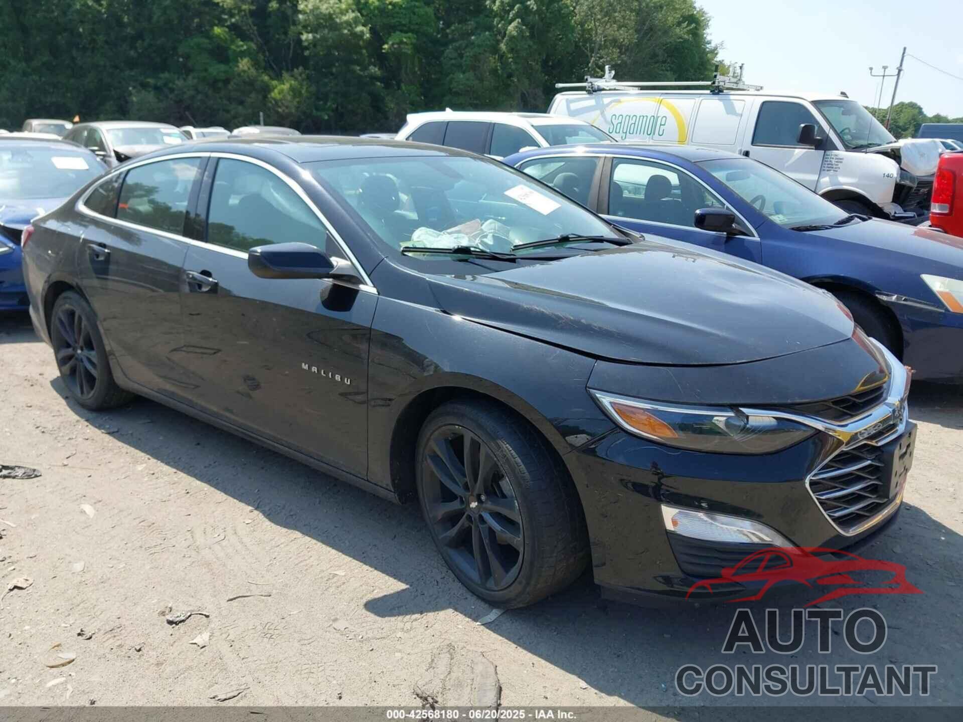 CHEVROLET MALIBU 2019 - 1G1ZD5ST8KF227008