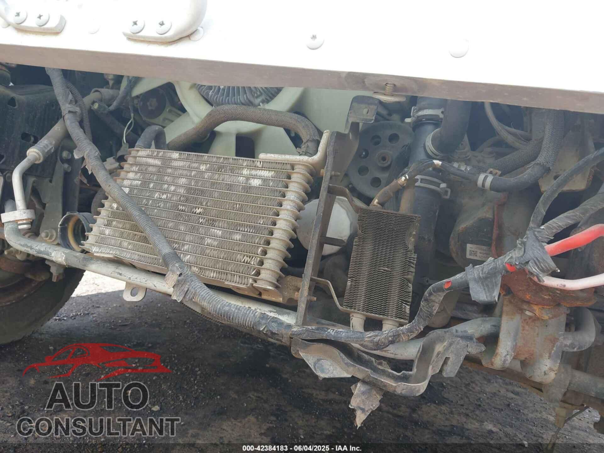 FORD E-450 STRIPPED 2019 - 1FC3E4K68KDC64487