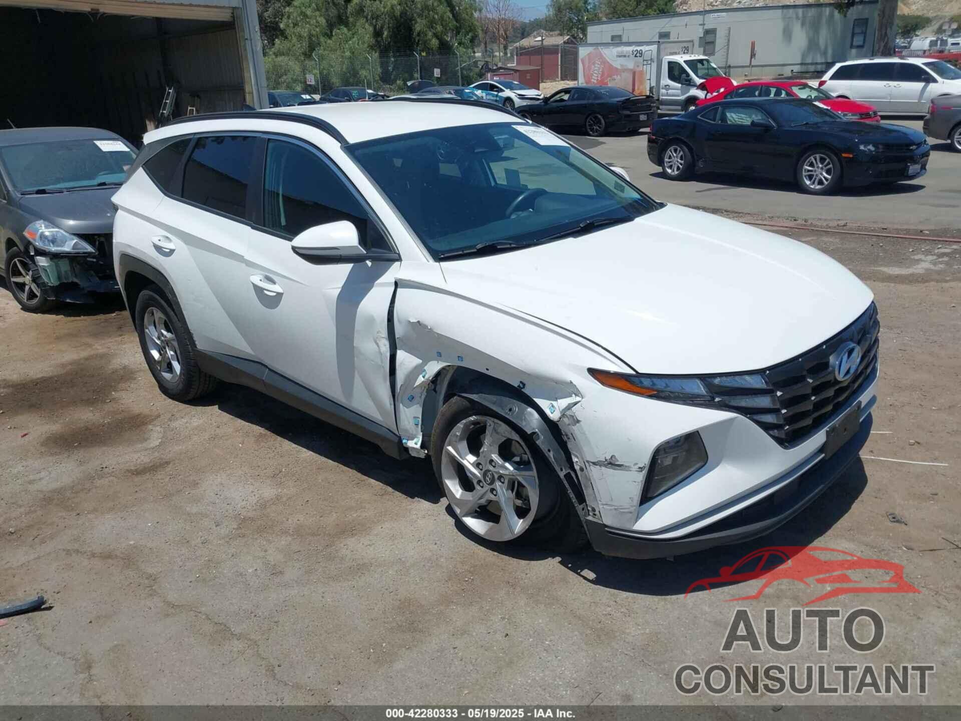 HYUNDAI TUCSON 2023 - 5NMJBCAE4PH216888