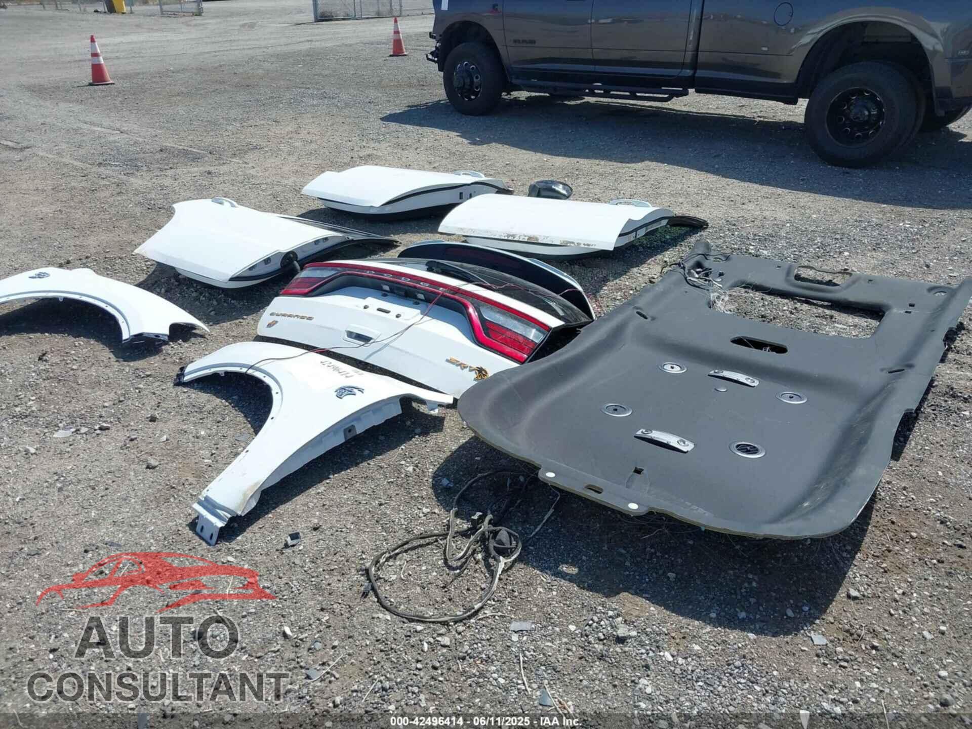DODGE DURANGO 2023 - 1C4SDJH91PC601433