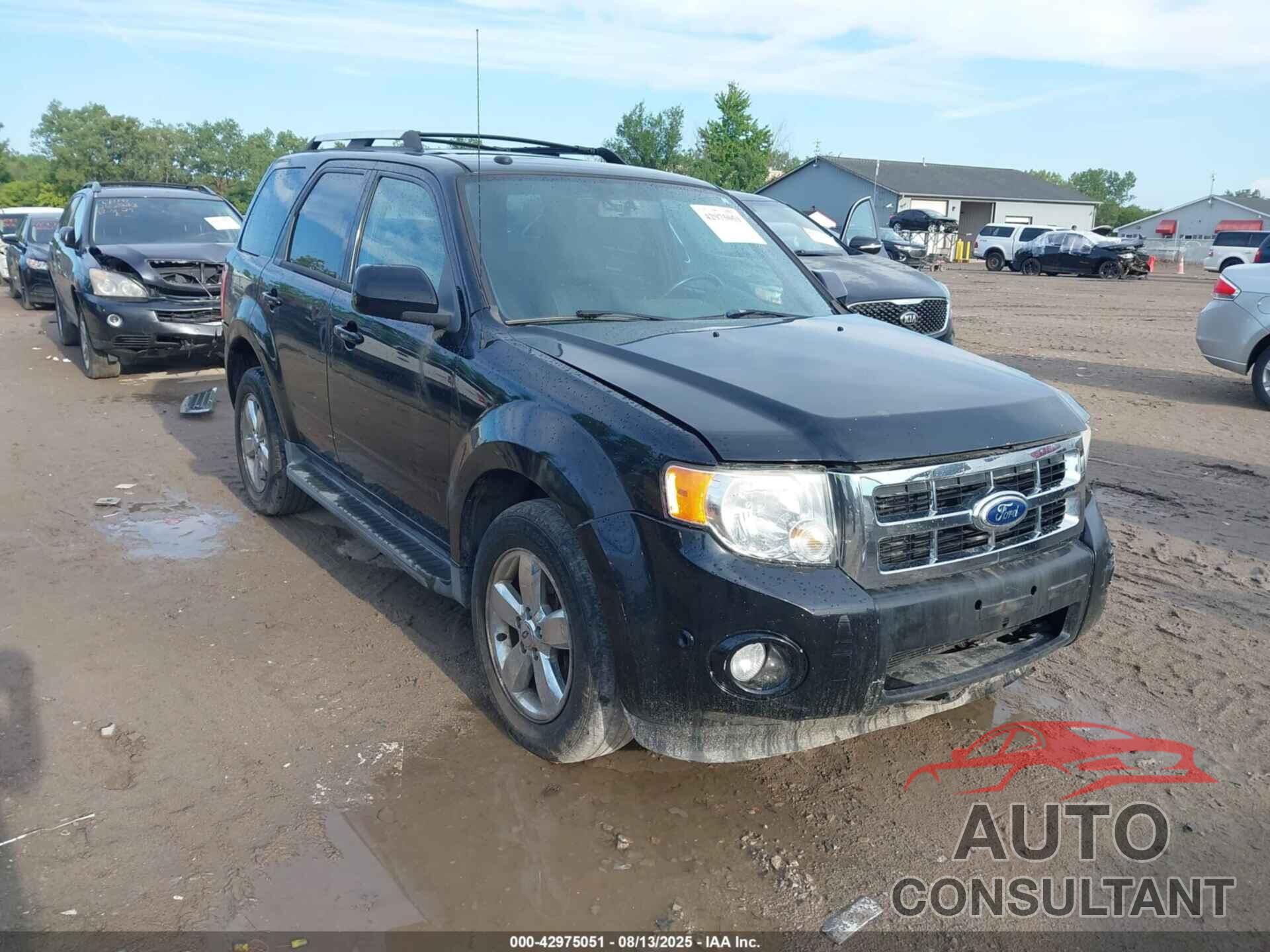 FORD ESCAPE 2010 - 1FMCU9EGXAKB30431