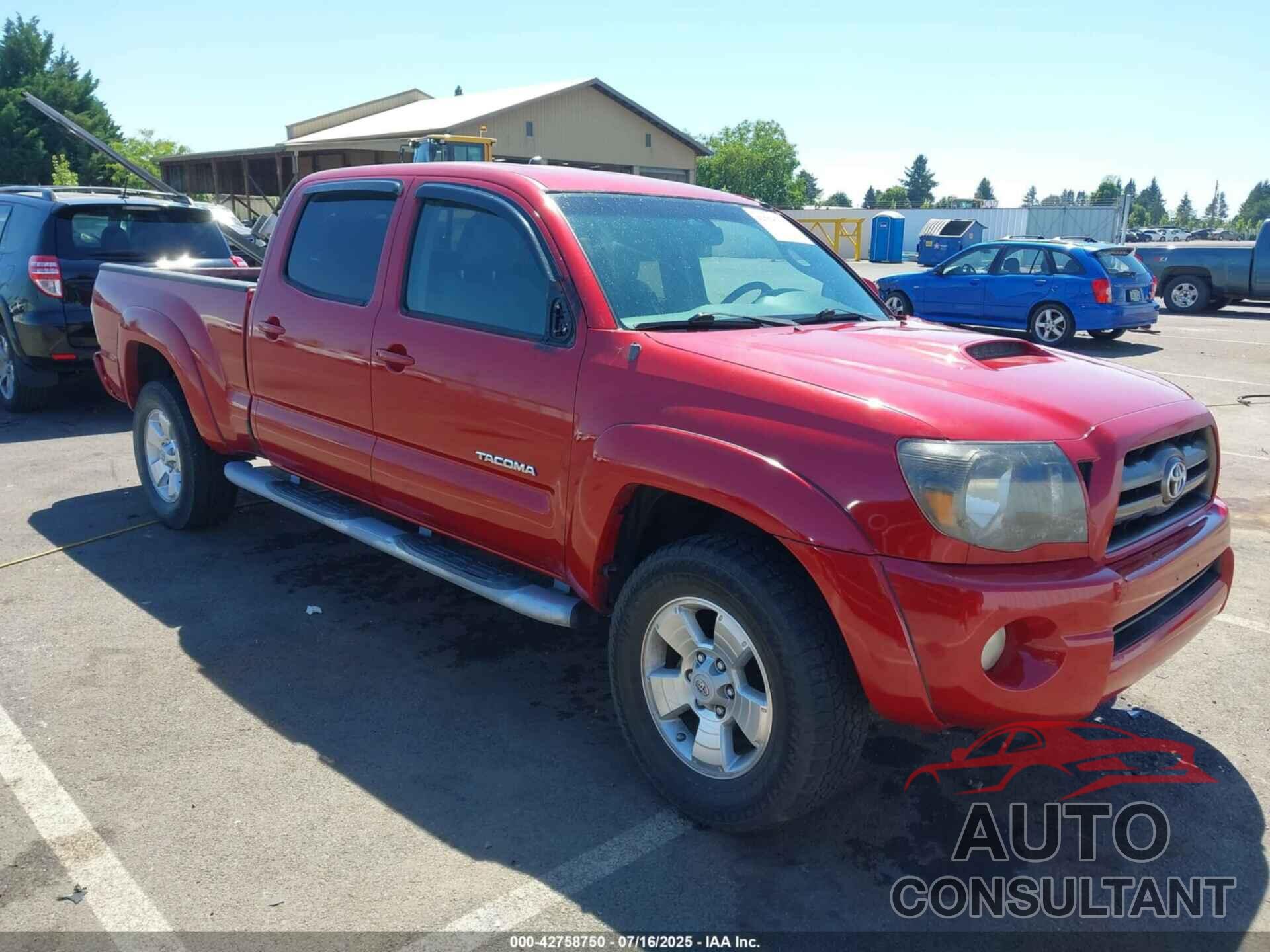 TOYOTA TACOMA 2009 - 5TEMU52N99Z595777