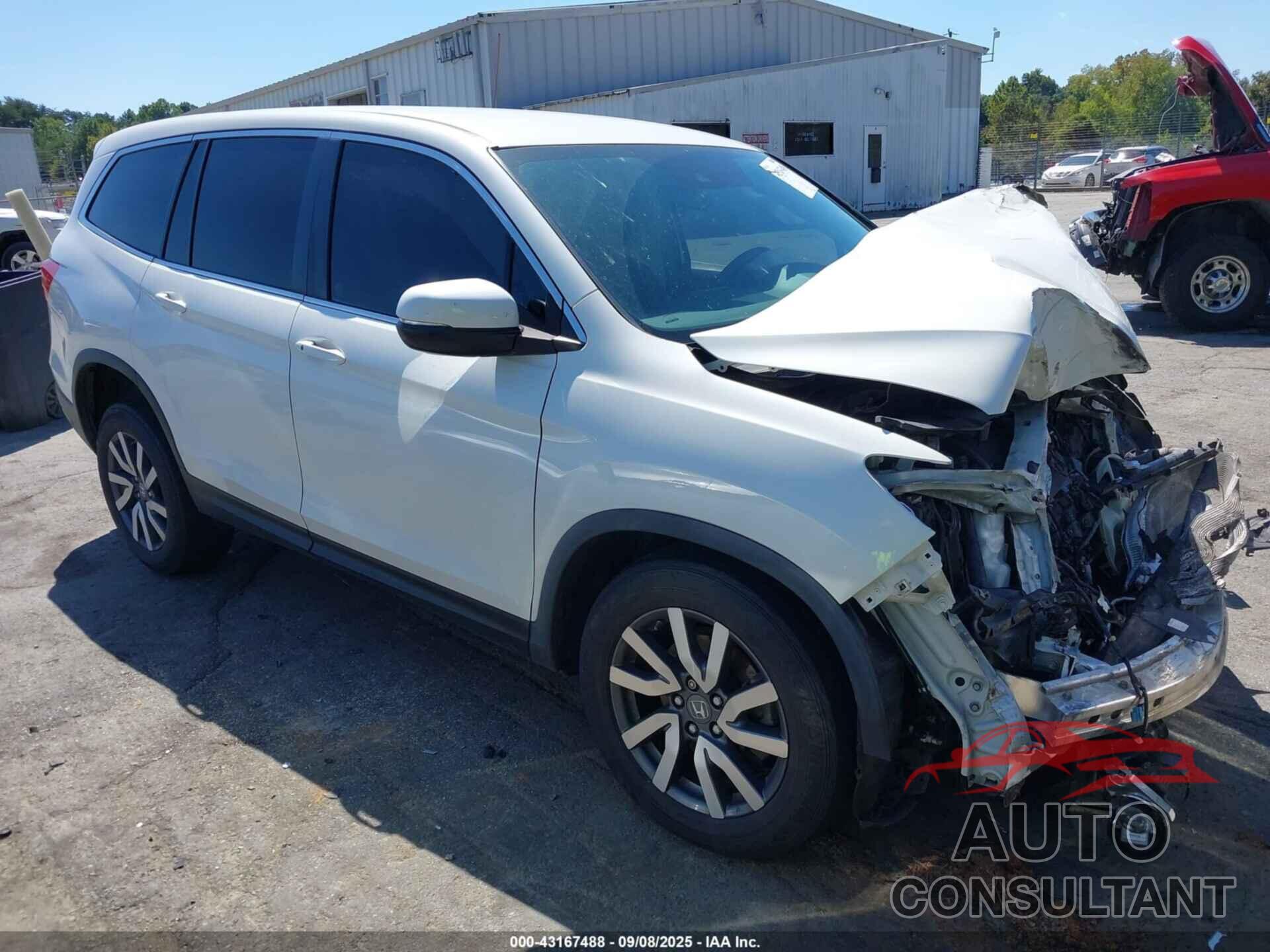 HONDA PILOT 2019 - 5FNYF6H33KB062693