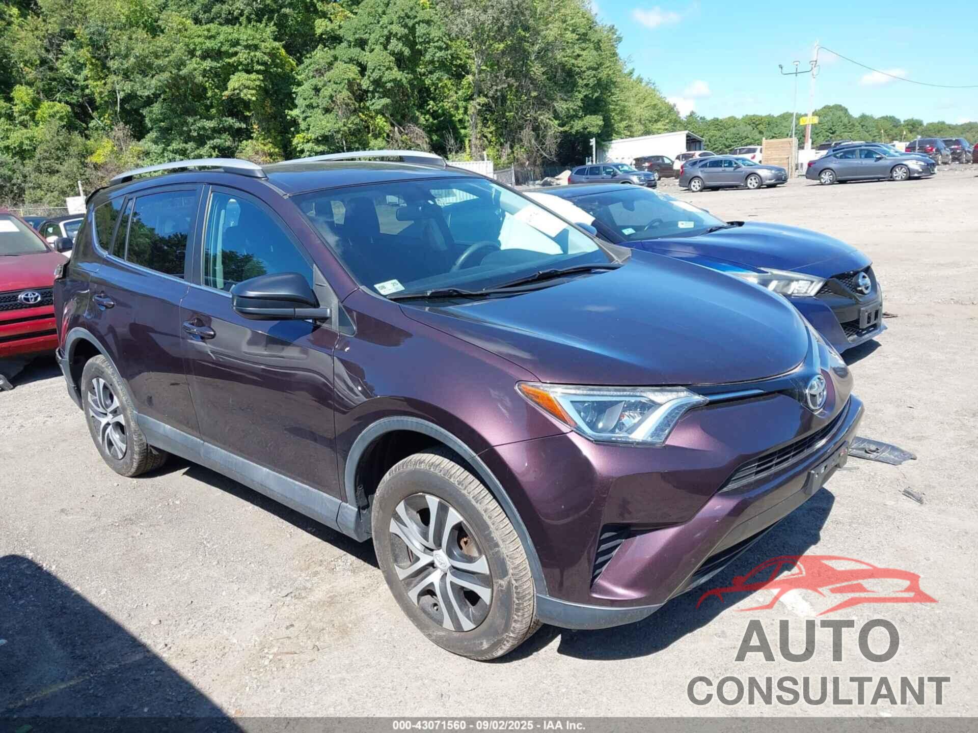 TOYOTA RAV4 2016 - 2T3BFREV8GW536197