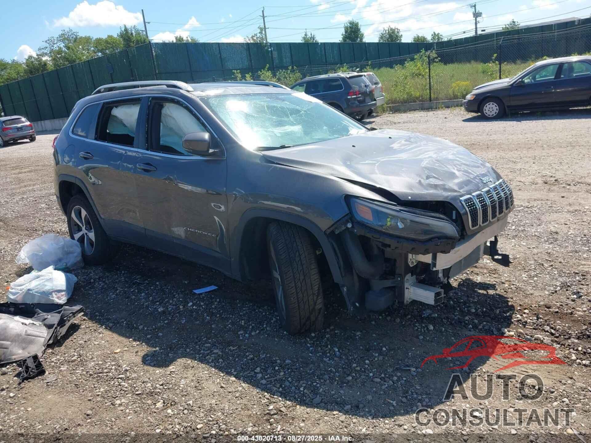 JEEP CHEROKEE 2019 - 1C4PJMDX2KD321530